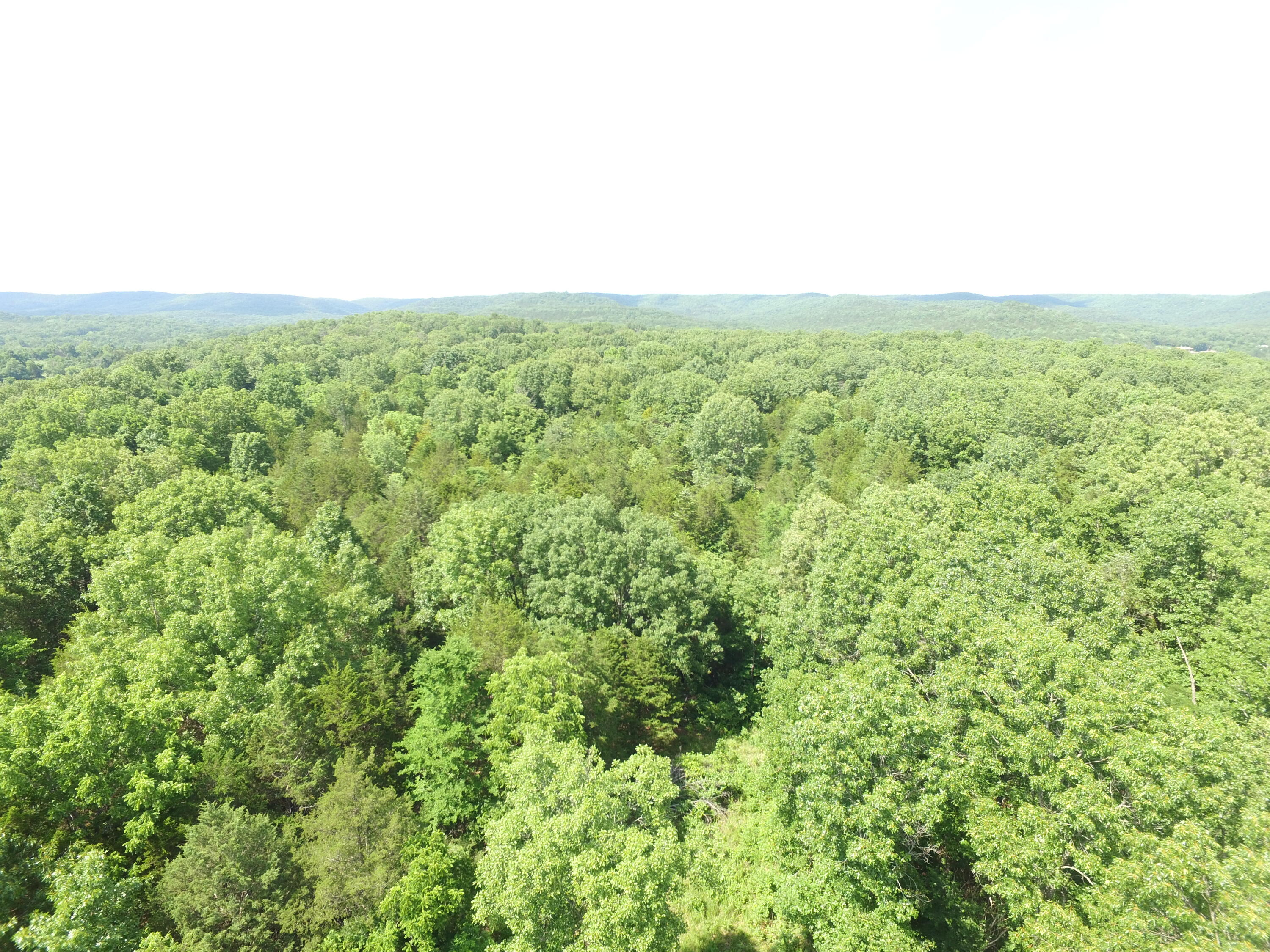 000 Yy 15 Road Property Photo 20