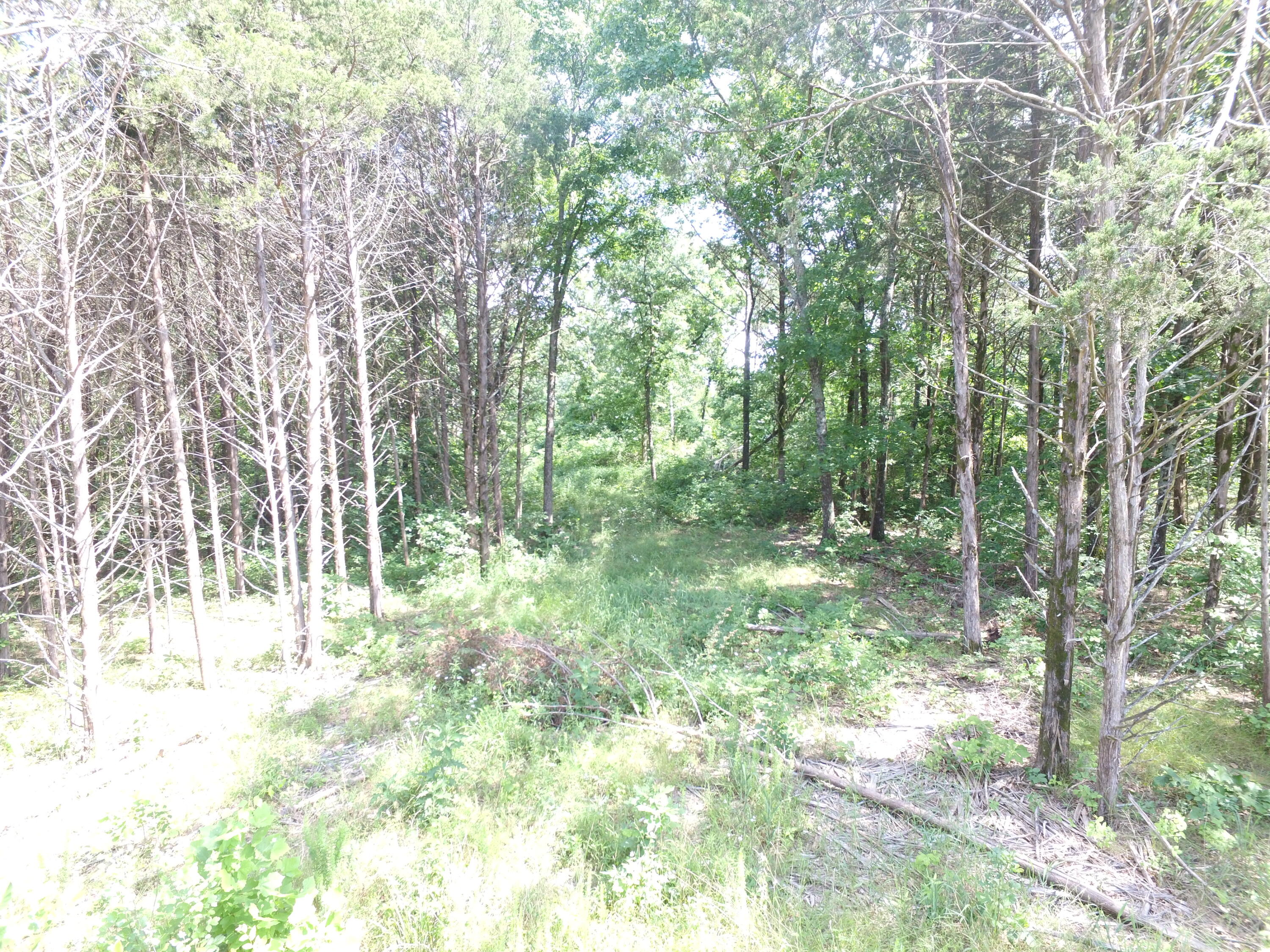 000 Yy 15 Road Property Photo 23