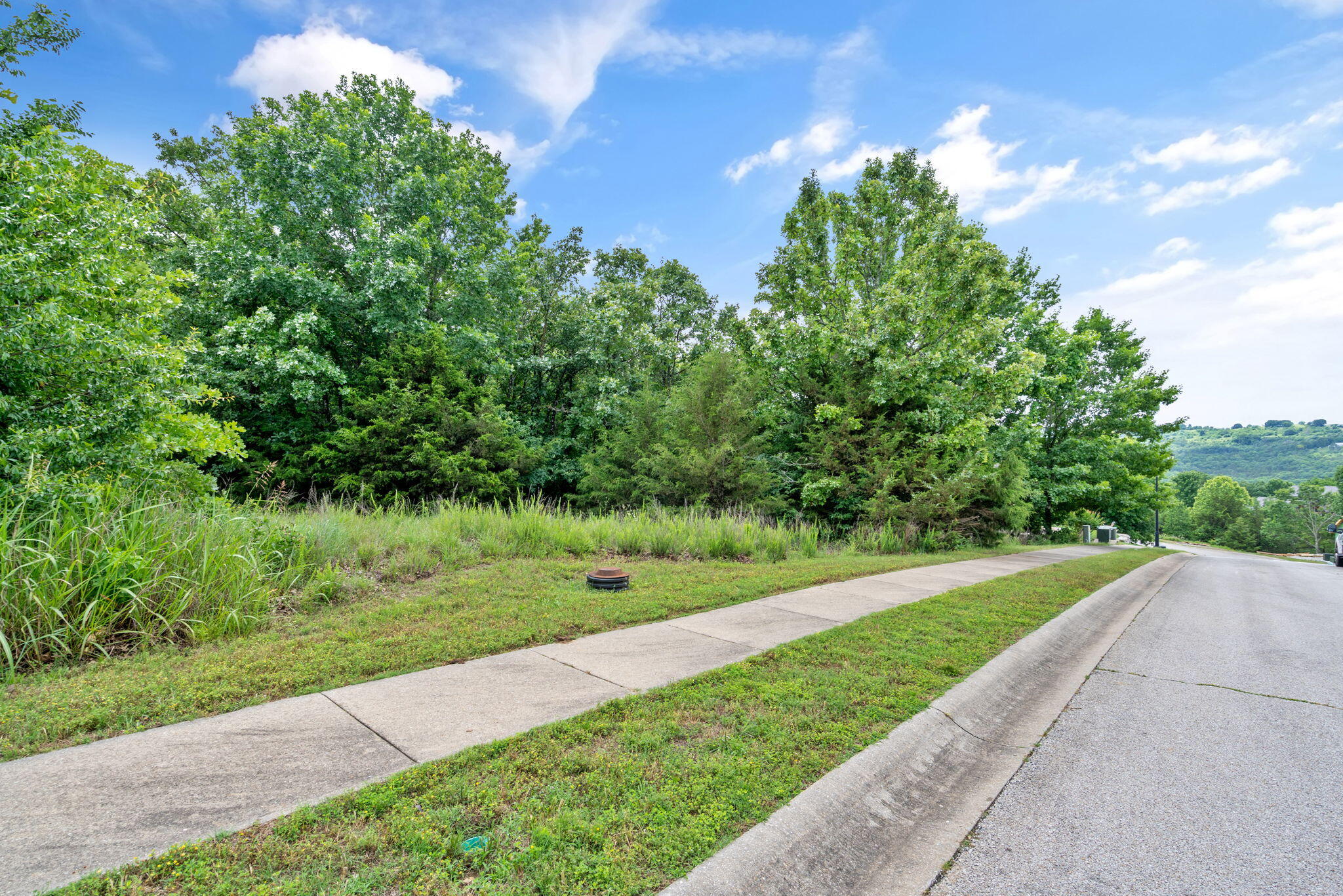 219 Forest Oak Drive Property Photo 6