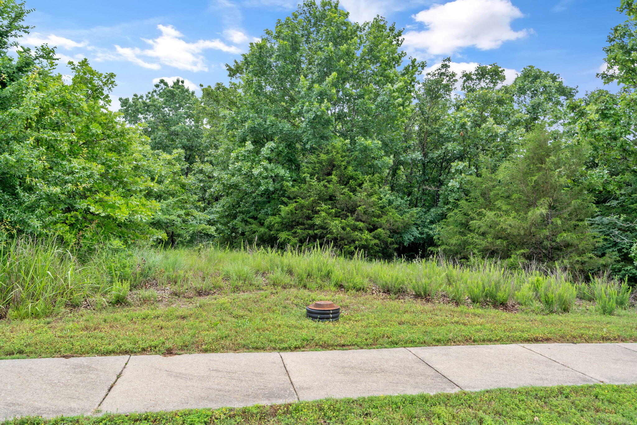 219 Forest Oak Drive Property Photo 7