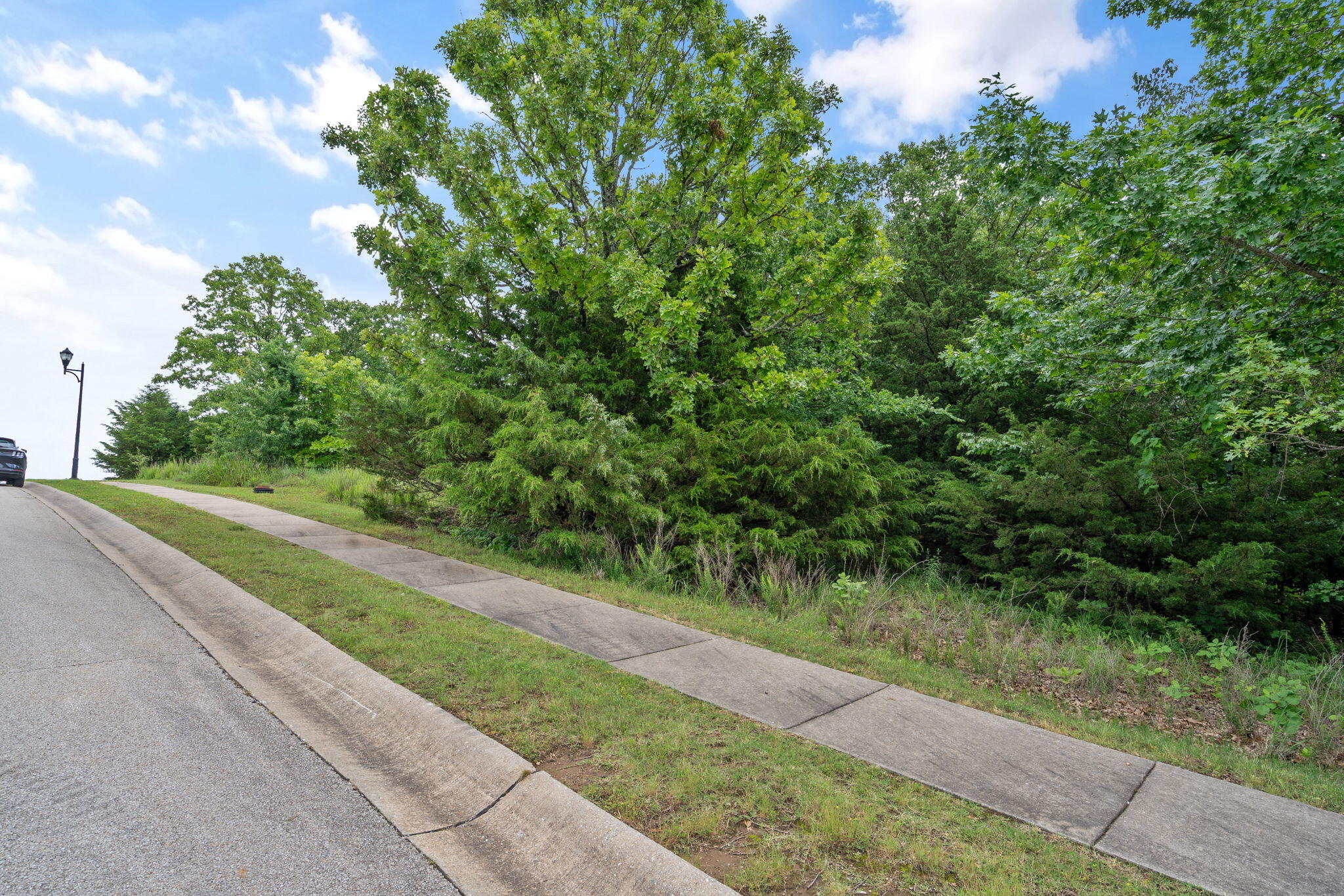219 Forest Oak Drive Property Photo 8