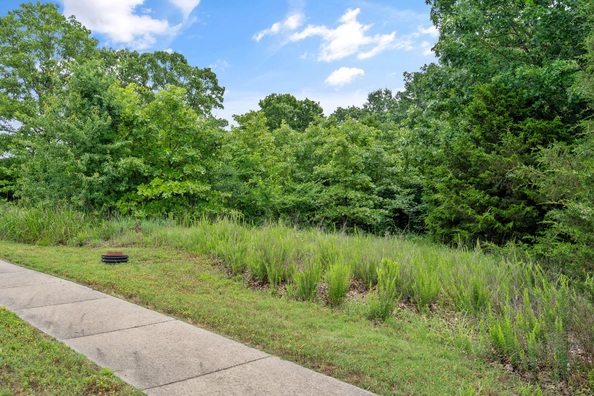 219 Forest Oak Drive Property Photo 9
