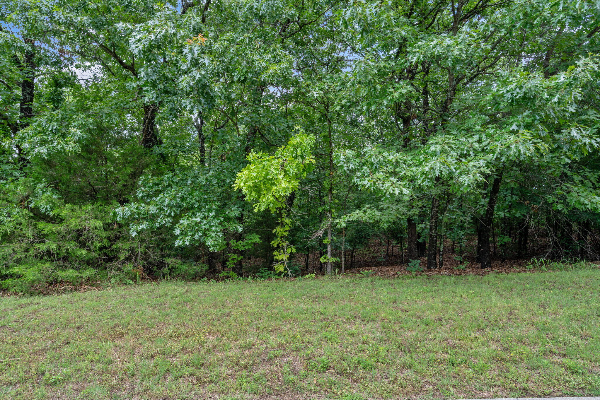 60325147 Property Photo 8