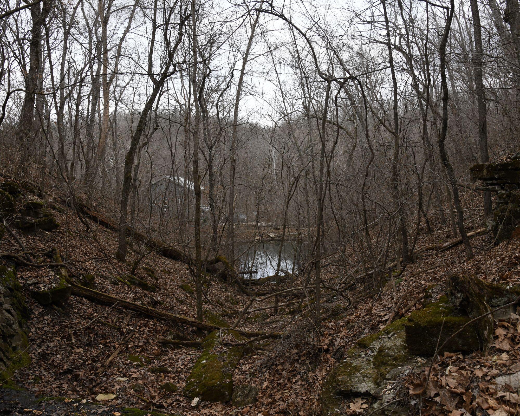 552 Mark Trail Property Photo 47