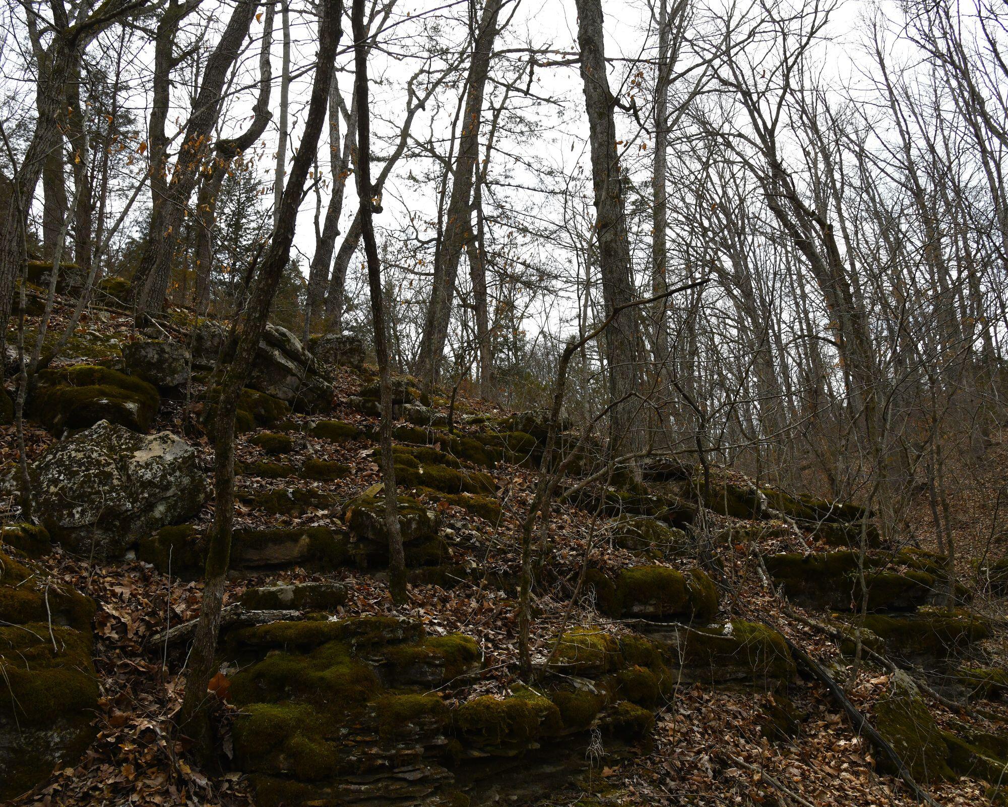 552 Mark Trail Property Photo 62