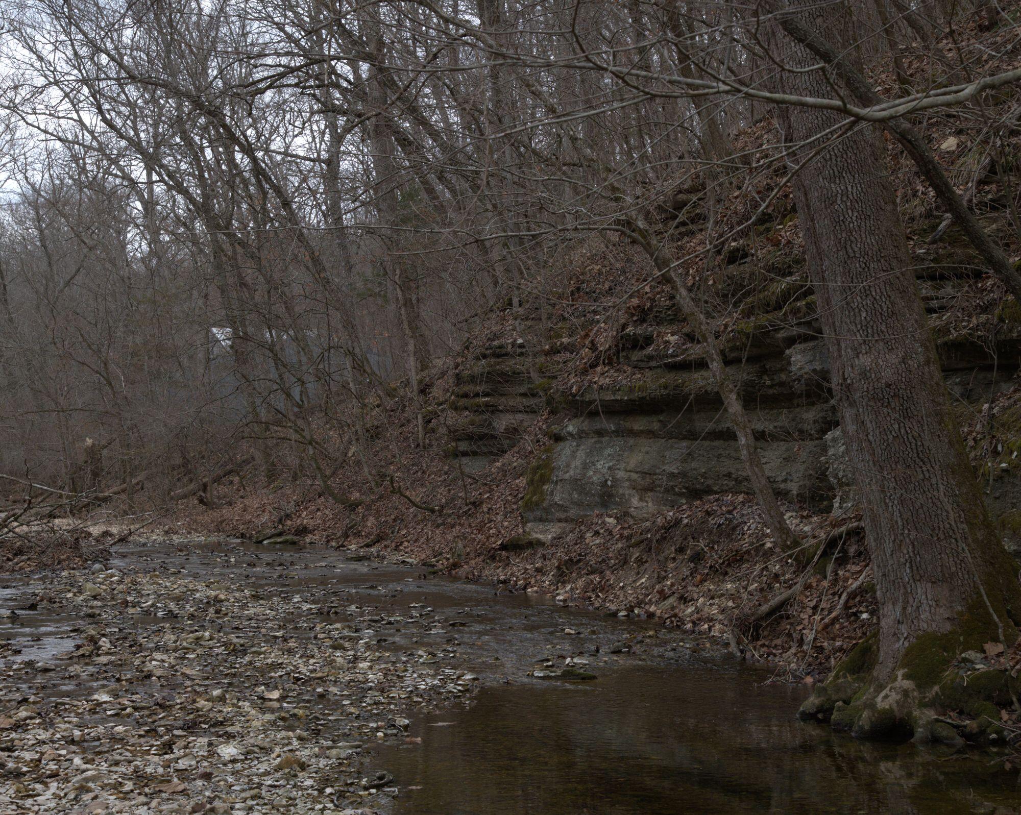 552 Mark Trail Property Photo 63