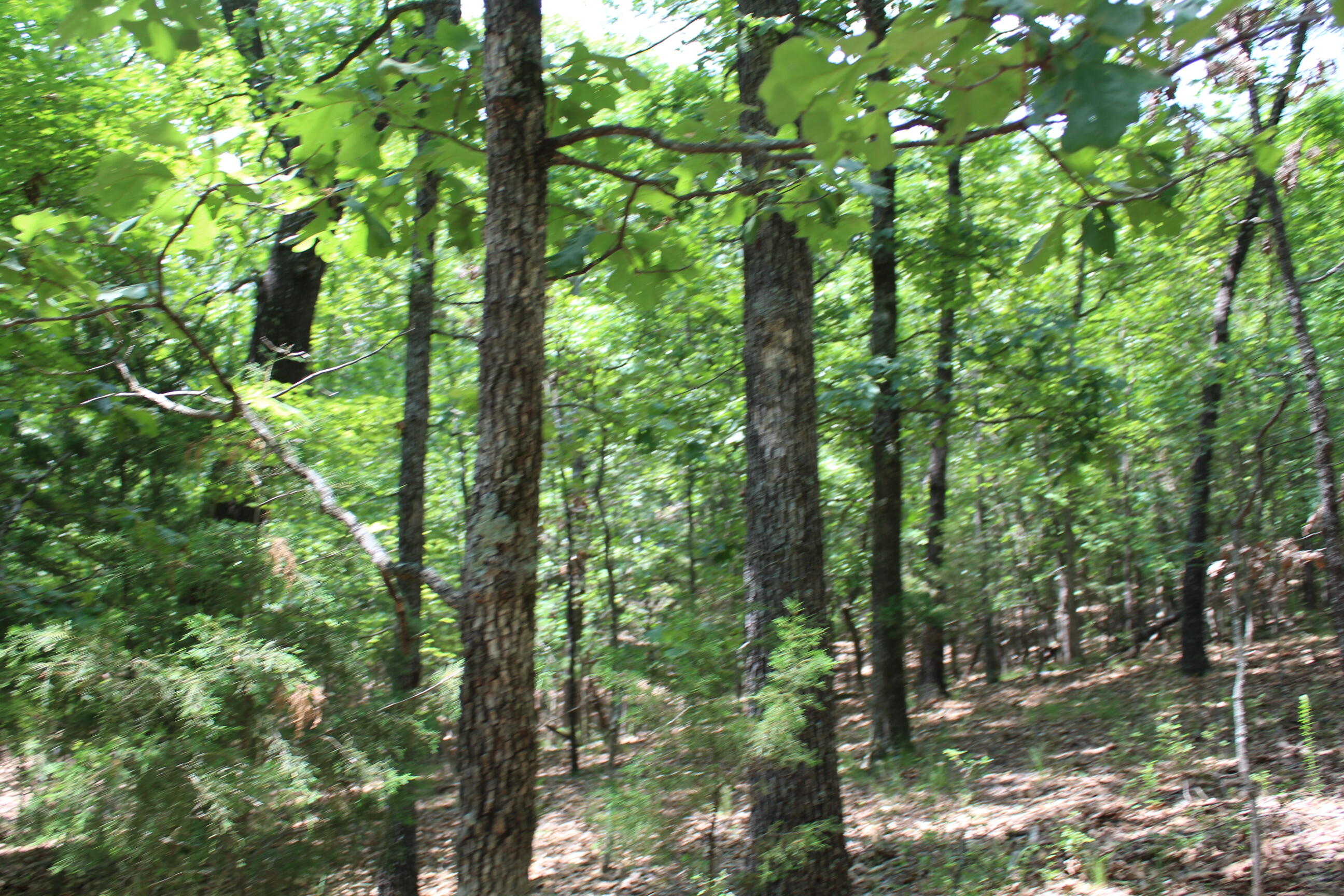 000 Old Mill Drive Block 5 Lot 9b Property Photo 2