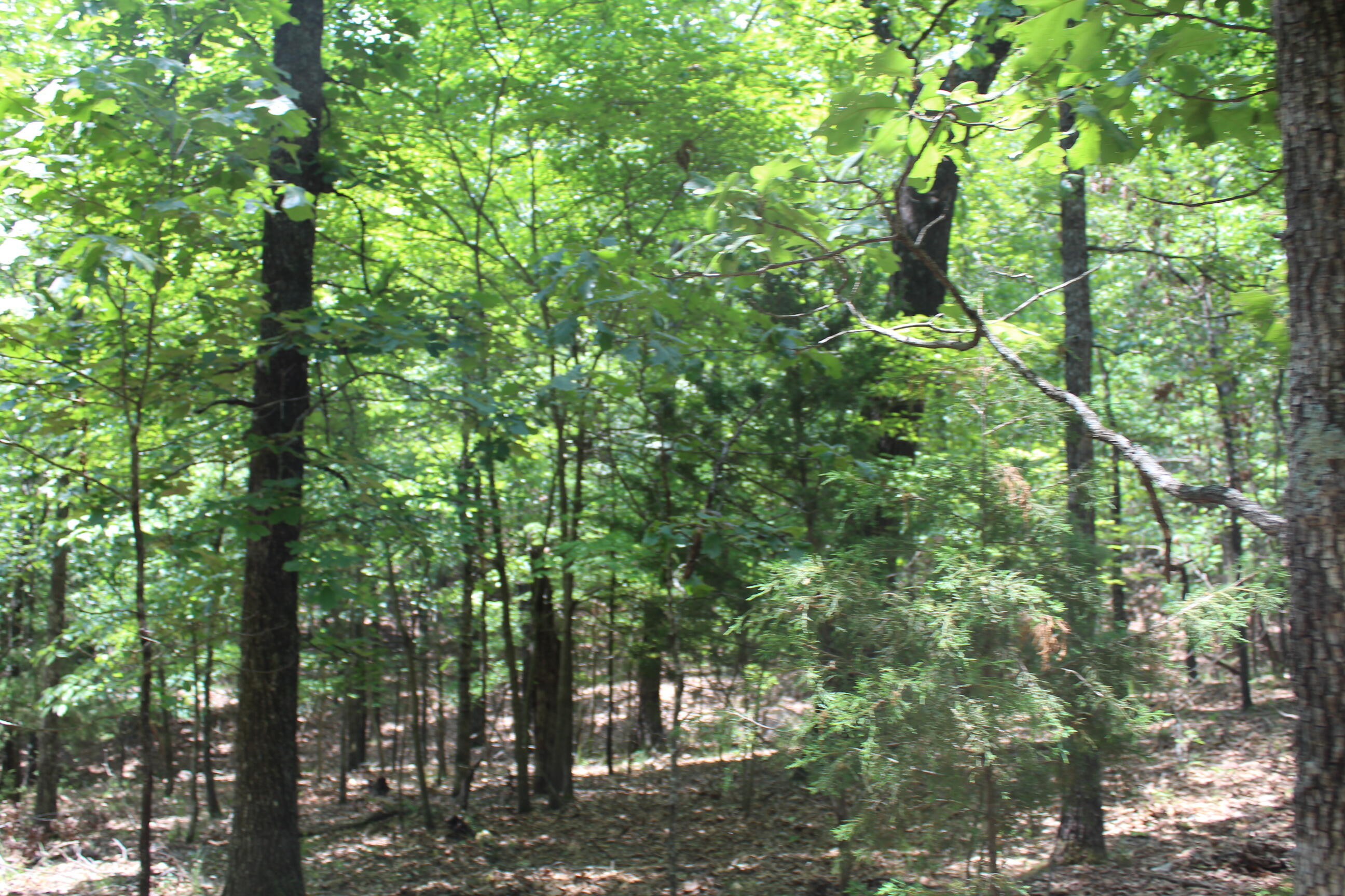 000 Old Mill Drive Block 5 Lot 9b Property Photo 3