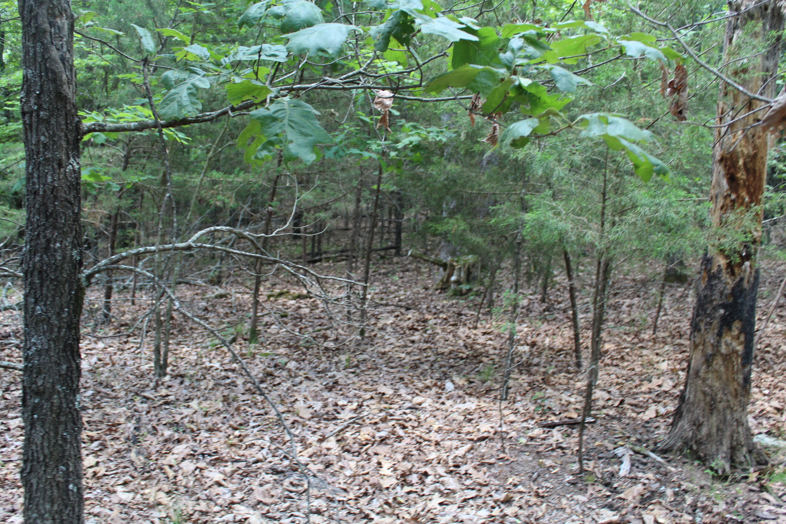 000 Old Mill Drive Block 5 Lot 9b Property Photo 5