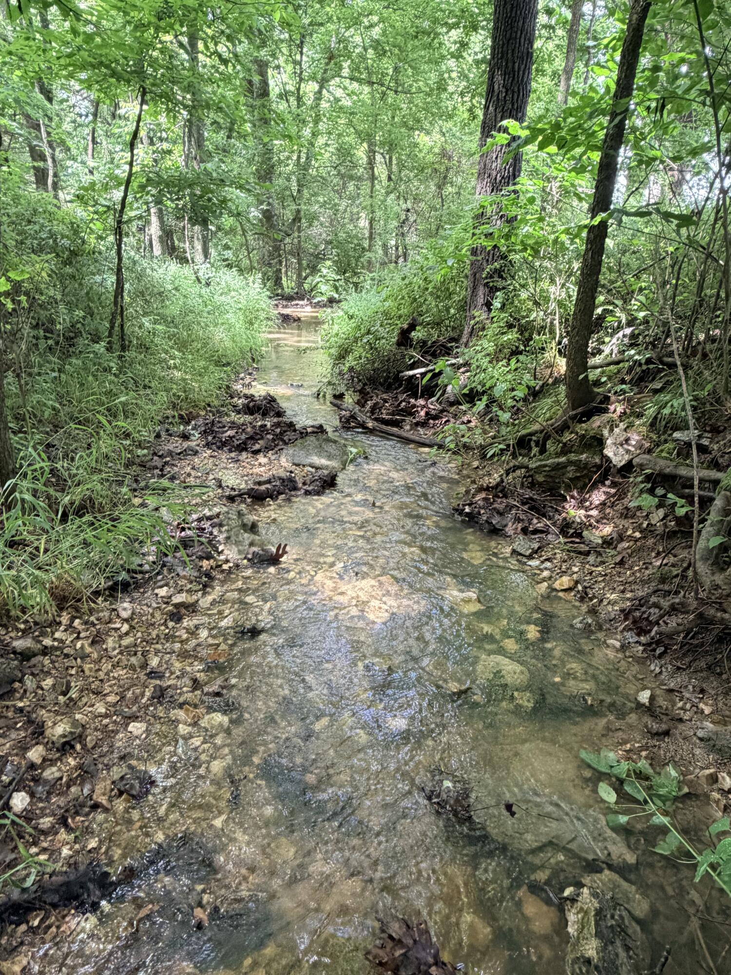 257 Panther Creek Road Property Photo 47