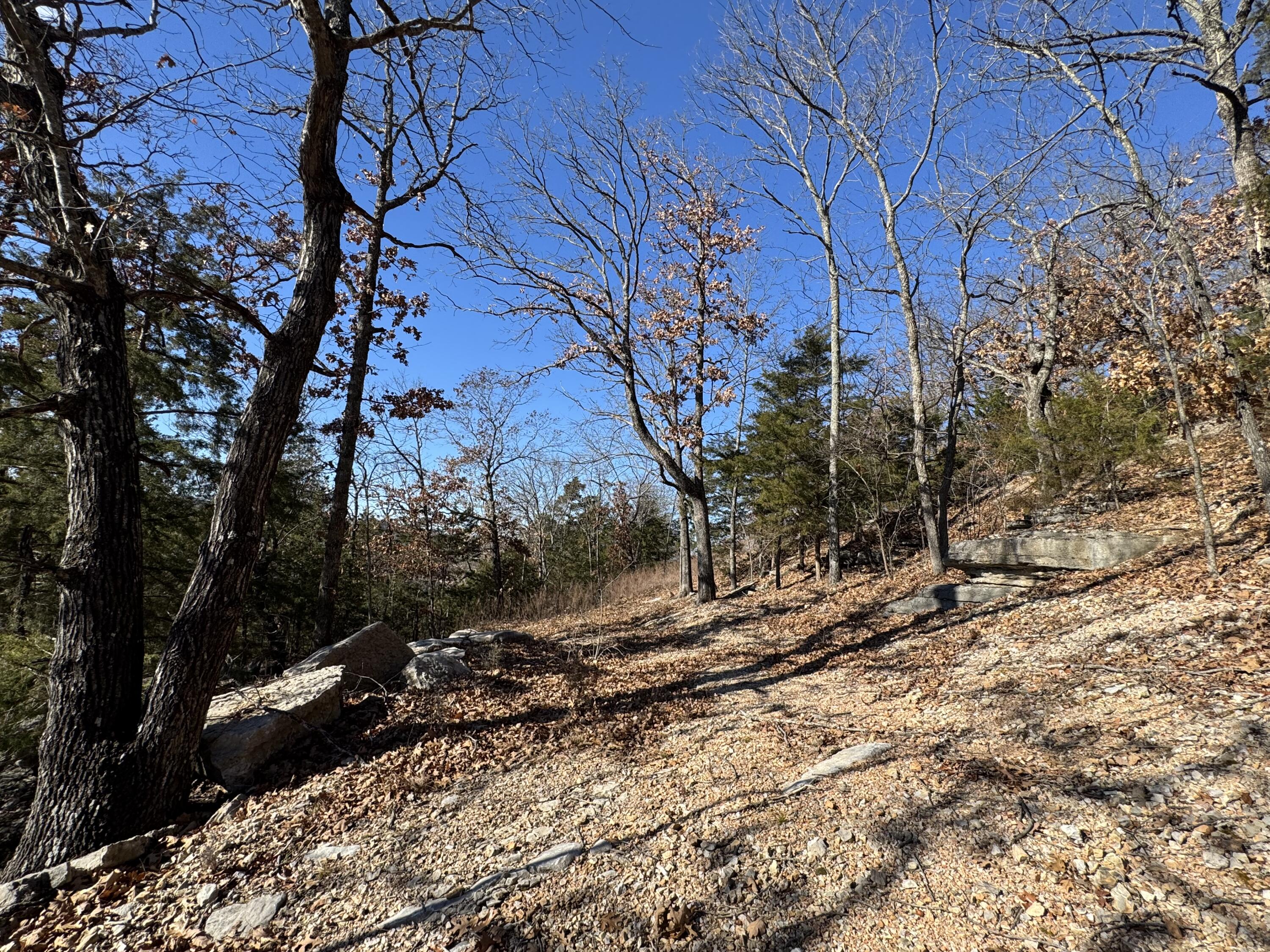 1233 Kingsgate Road Property Photo 8