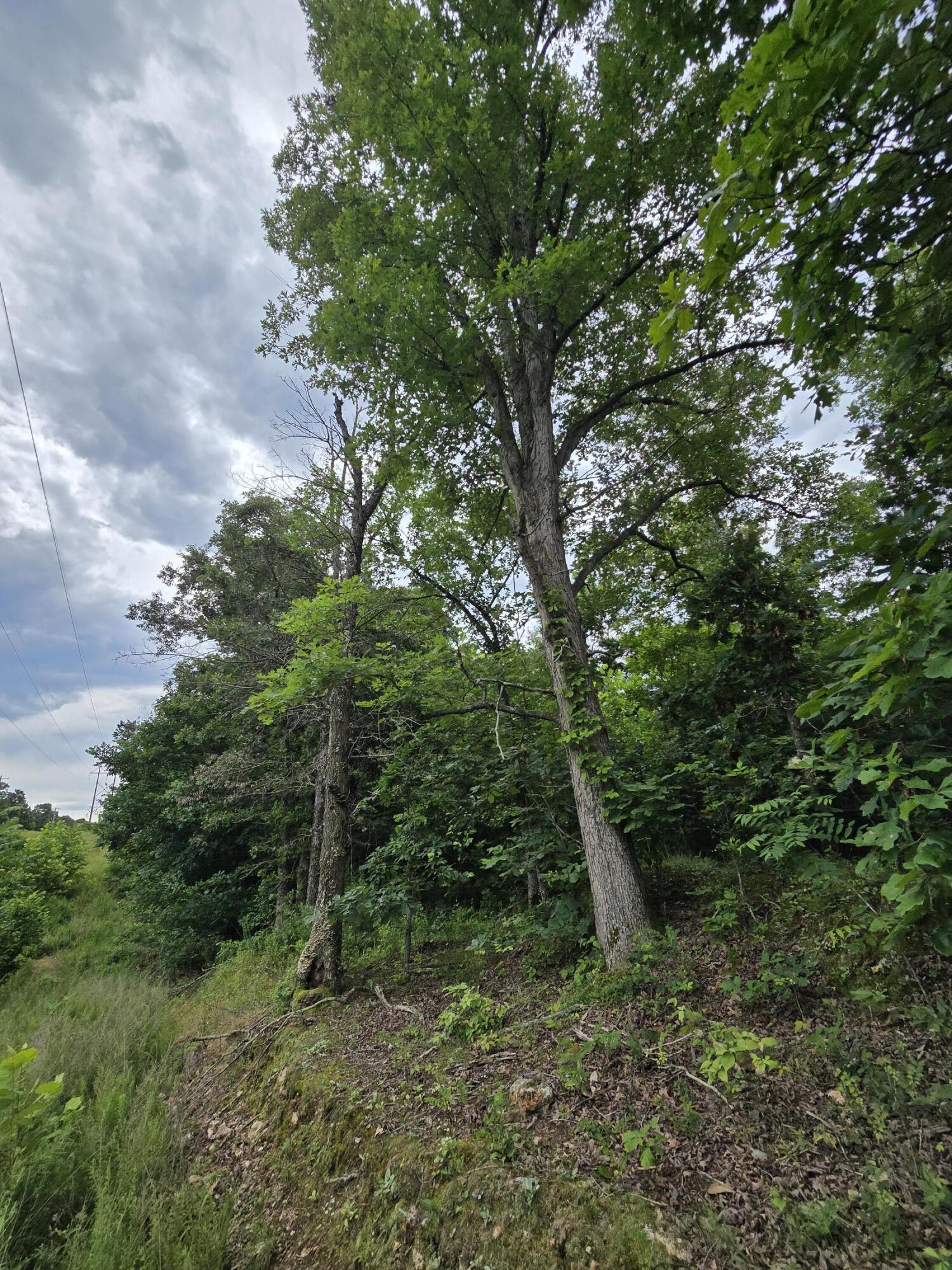 15039 Condor Drive Property Photo 5