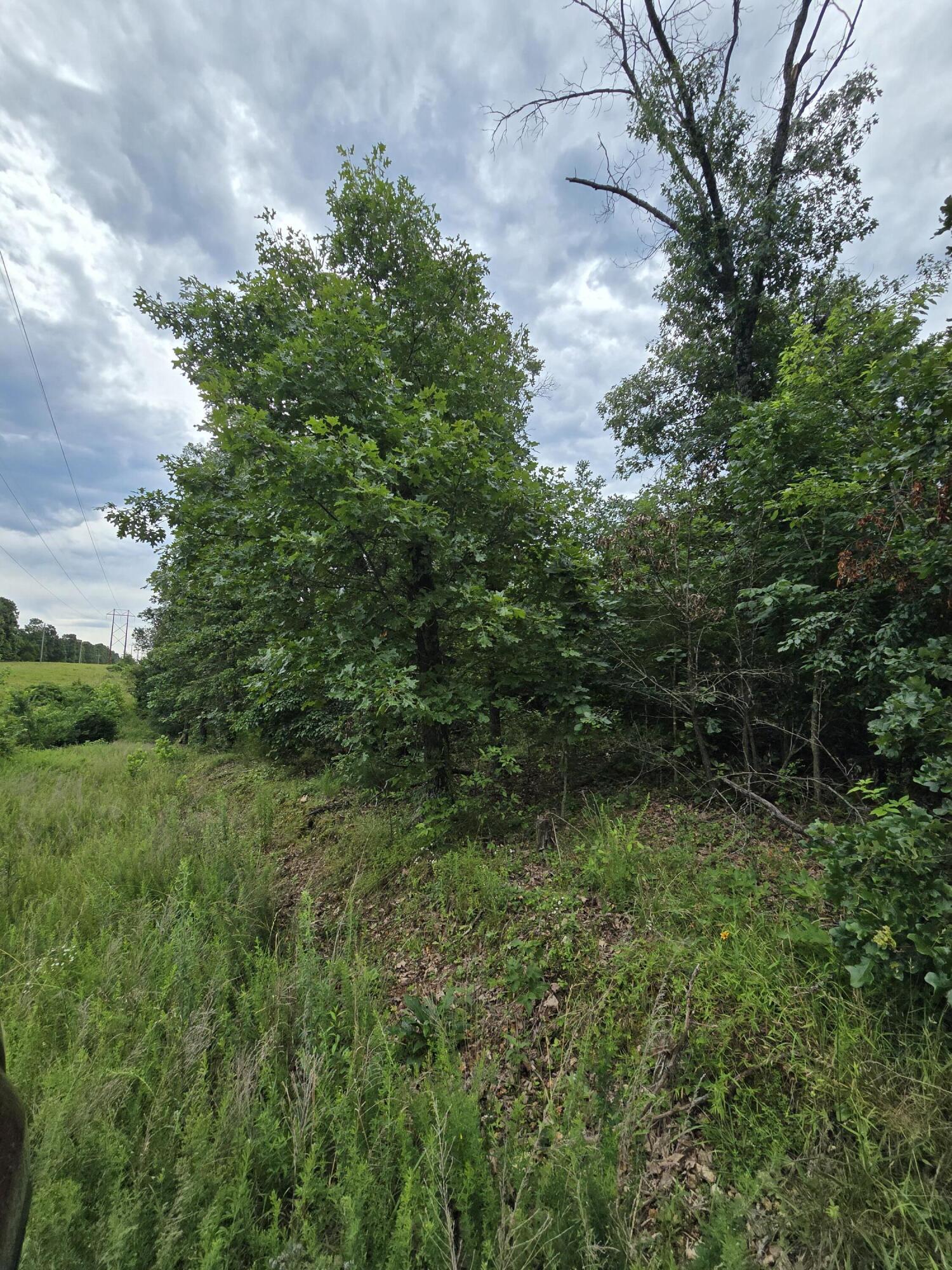 15039 Condor Drive Property Photo 6