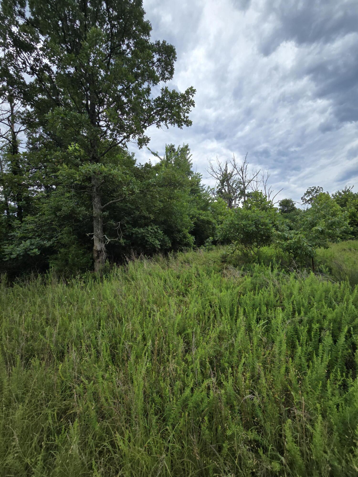 15039 Condor Drive Property Photo 7