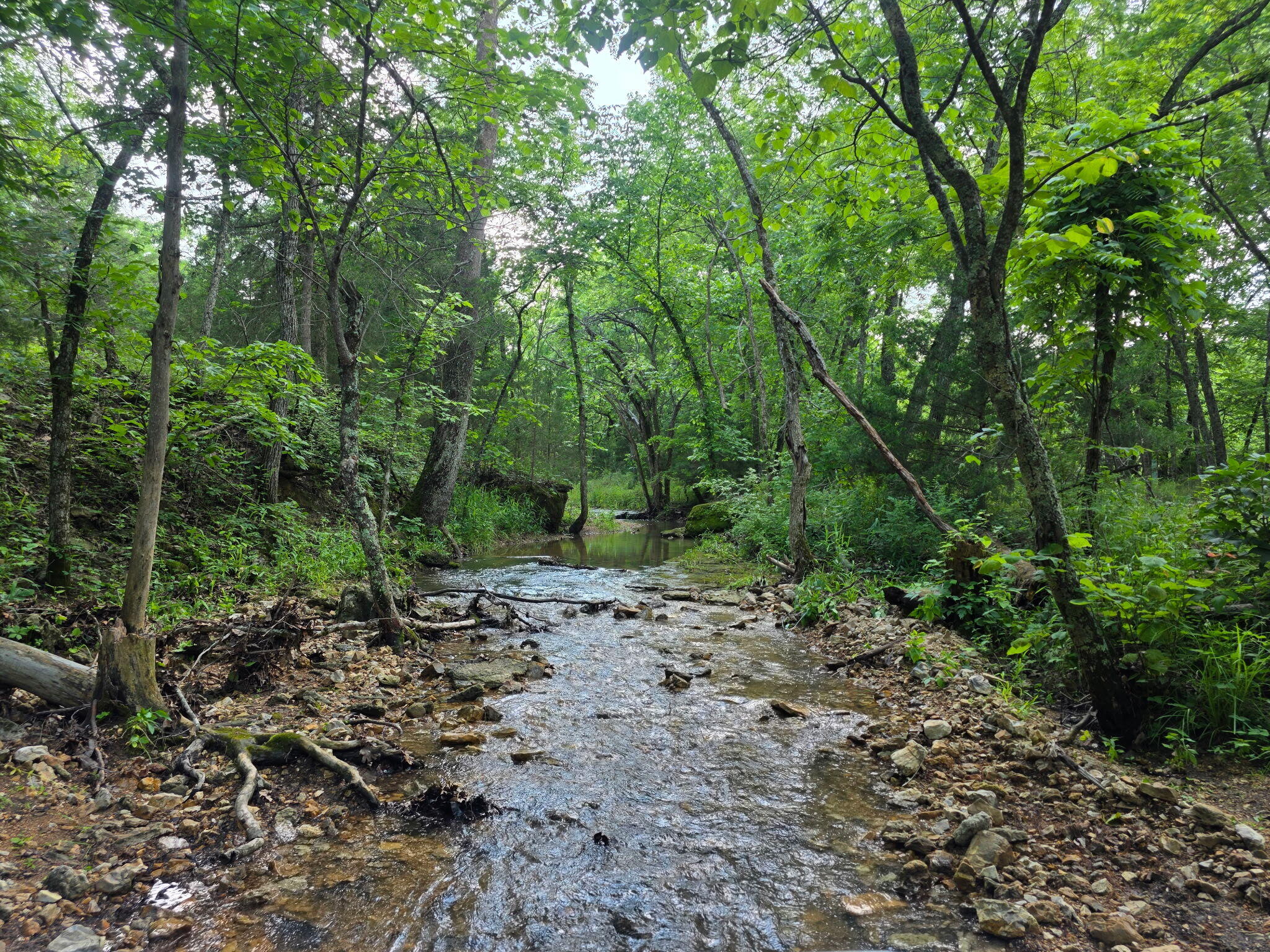 0000 State Highway Mm Property Photo 18
