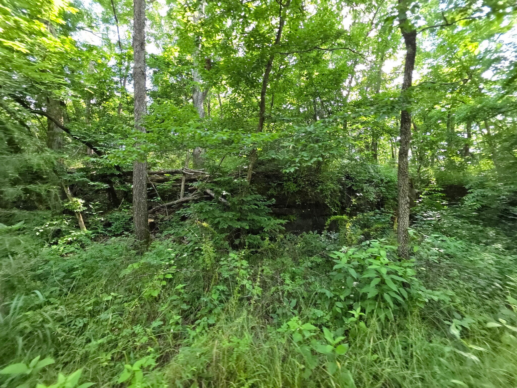 0000 State Highway Mm Property Photo 21