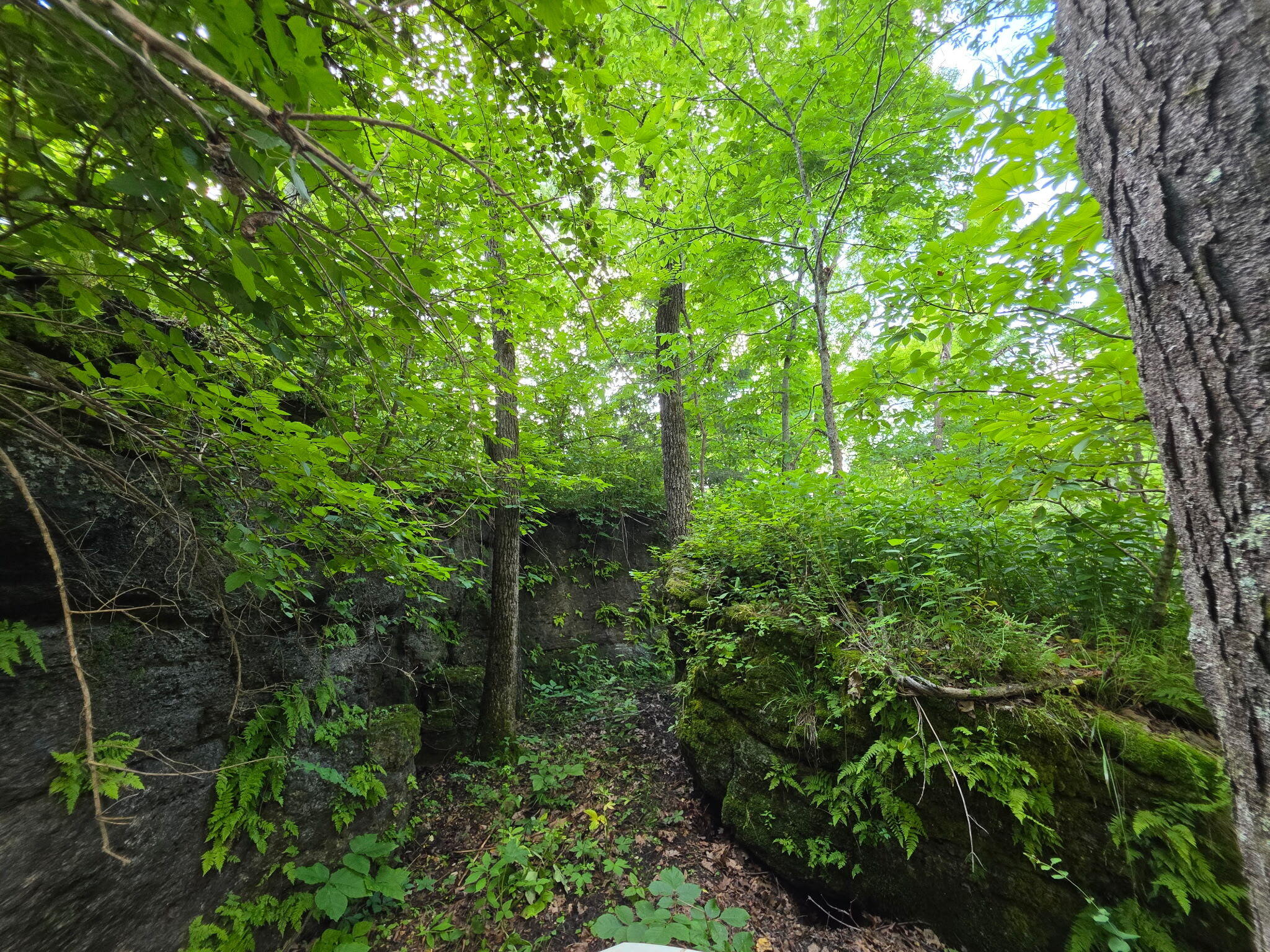 0000 State Highway Mm Property Photo 22
