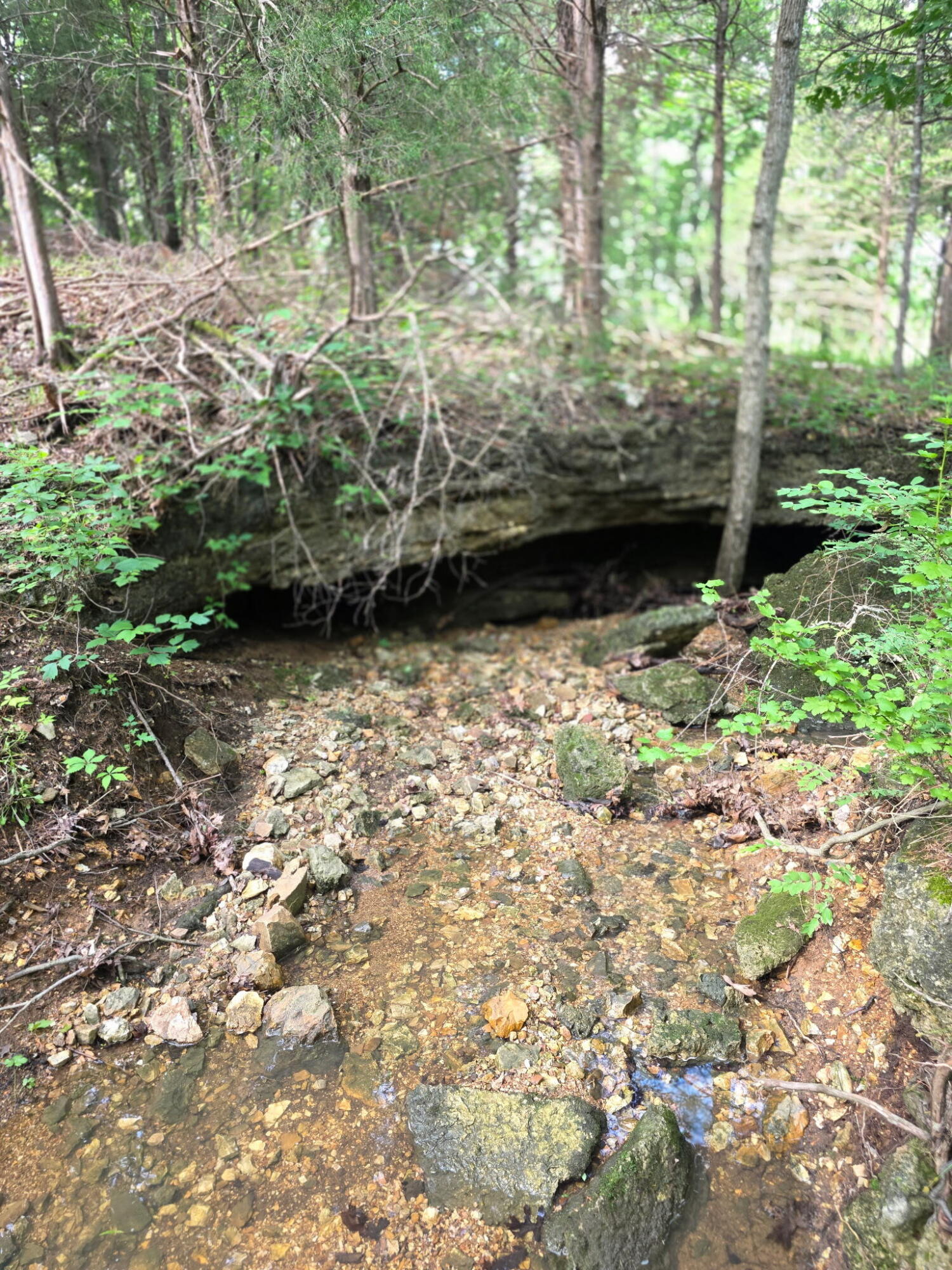 0000 State Highway Mm Property Photo 26