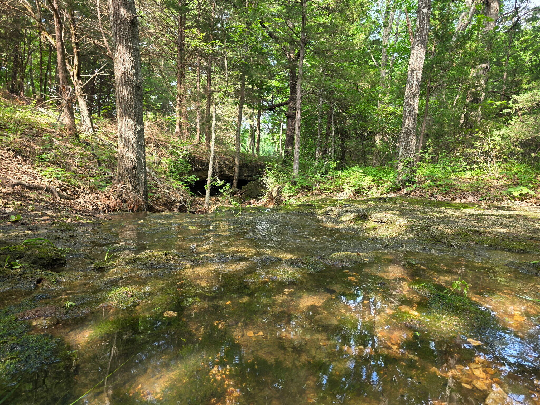 0000 State Highway Mm Property Photo 27