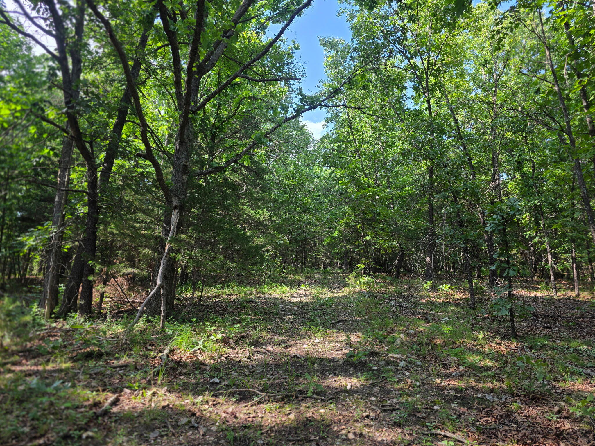 0000 State Highway Mm Property Photo 31