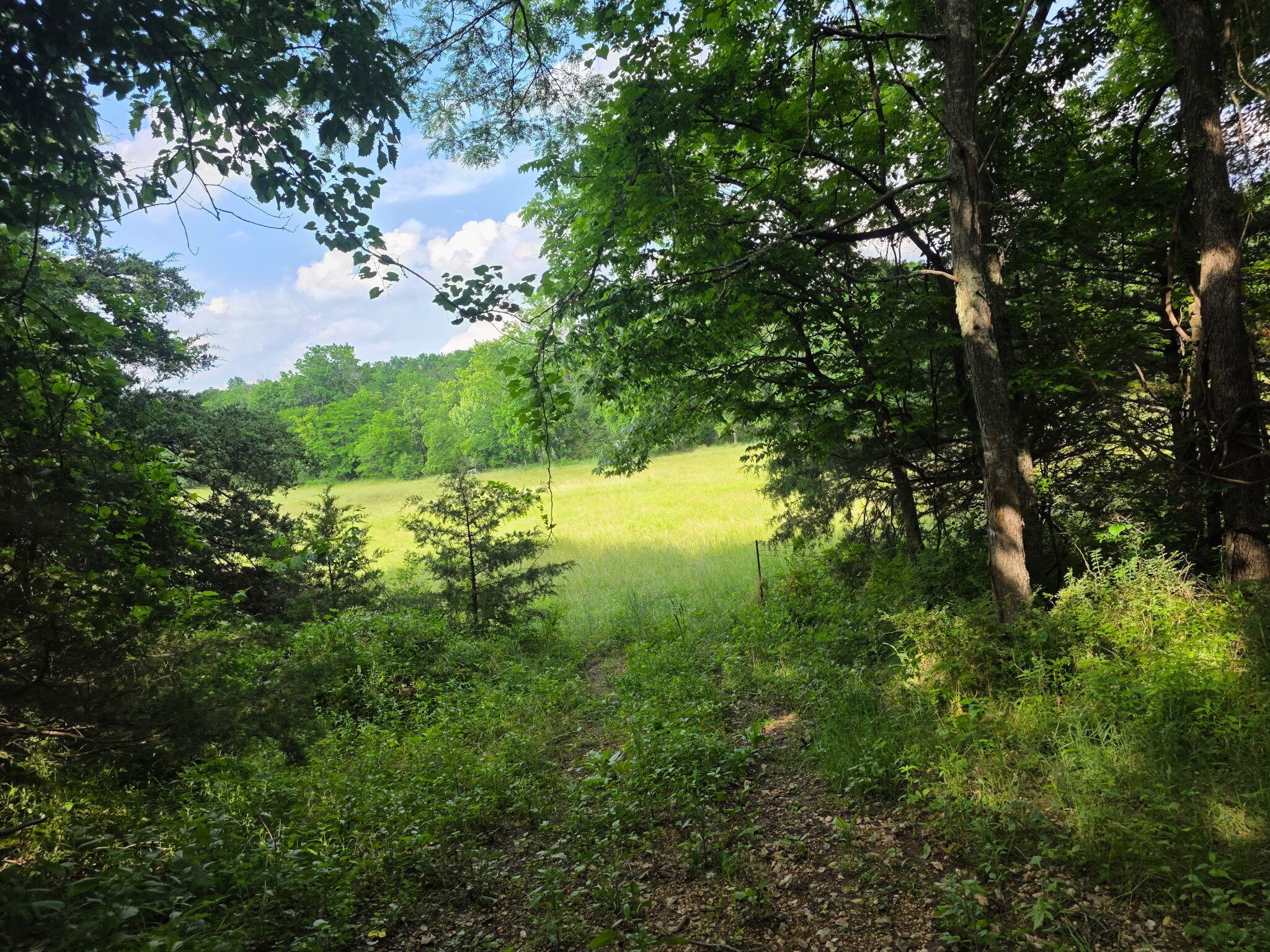 0000 State Highway Mm Property Photo 34