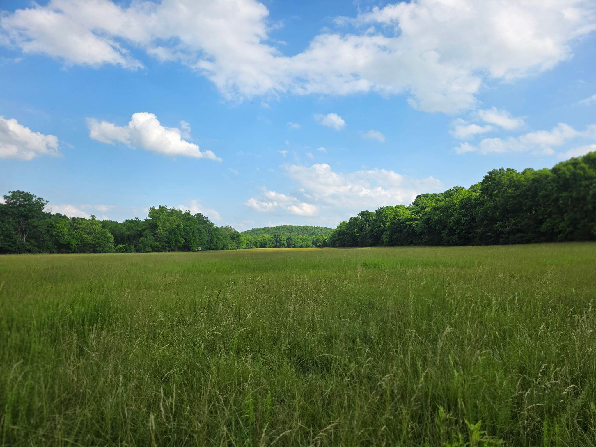 0000 State Highway Mm Property Photo 35