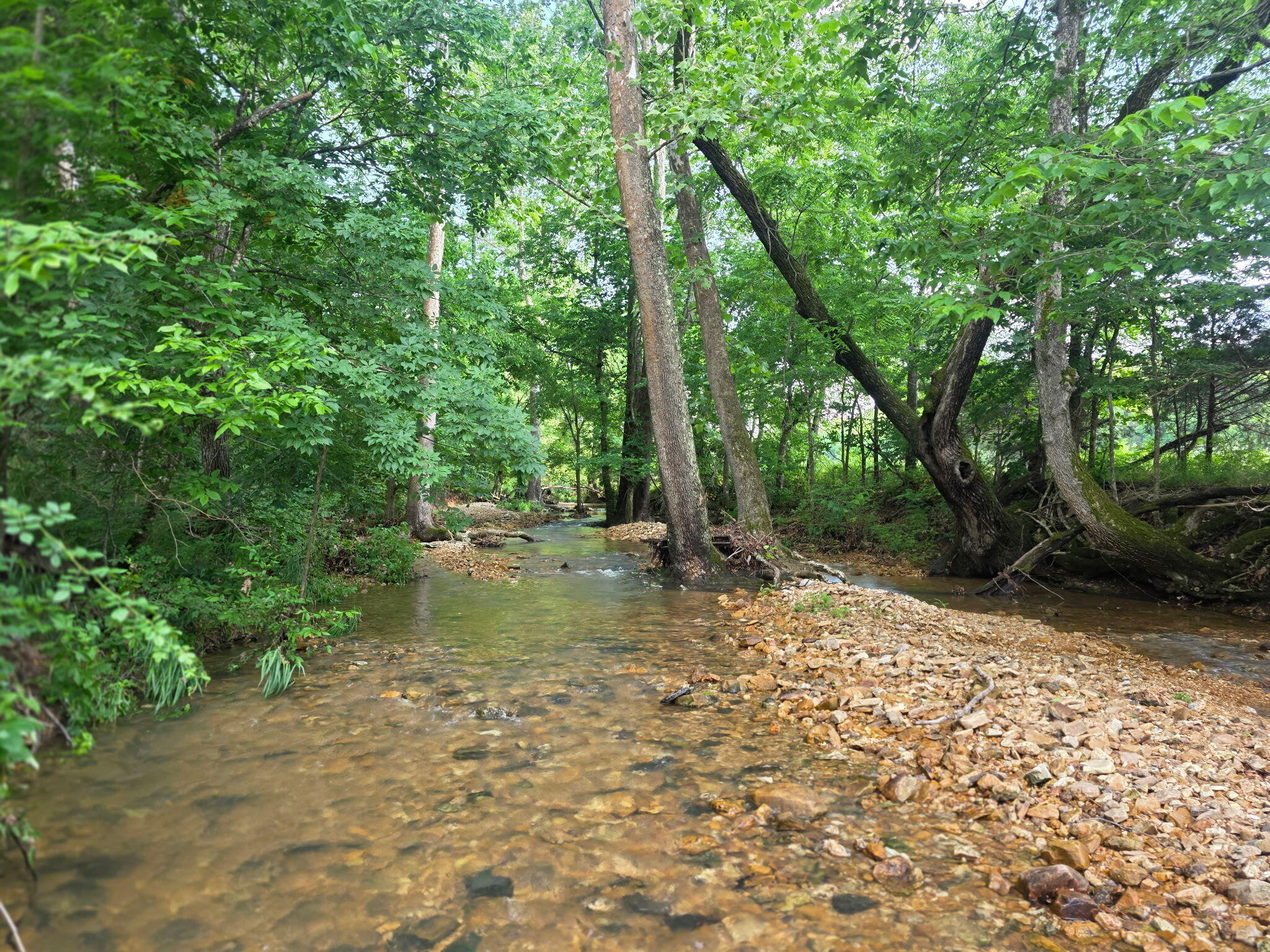 0000 State Highway Mm Property Photo 36