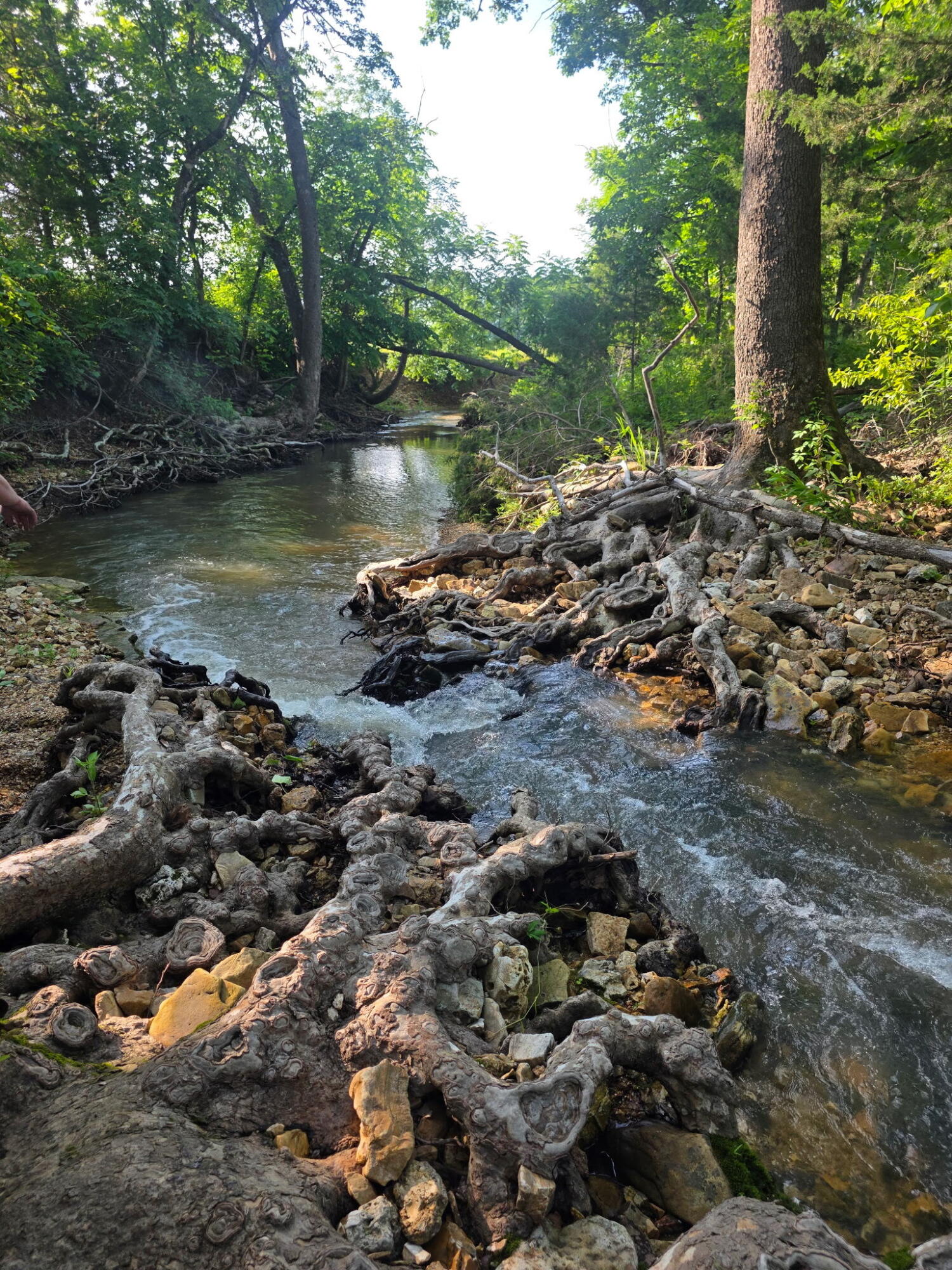 0000 State Highway Mm Property Photo 40