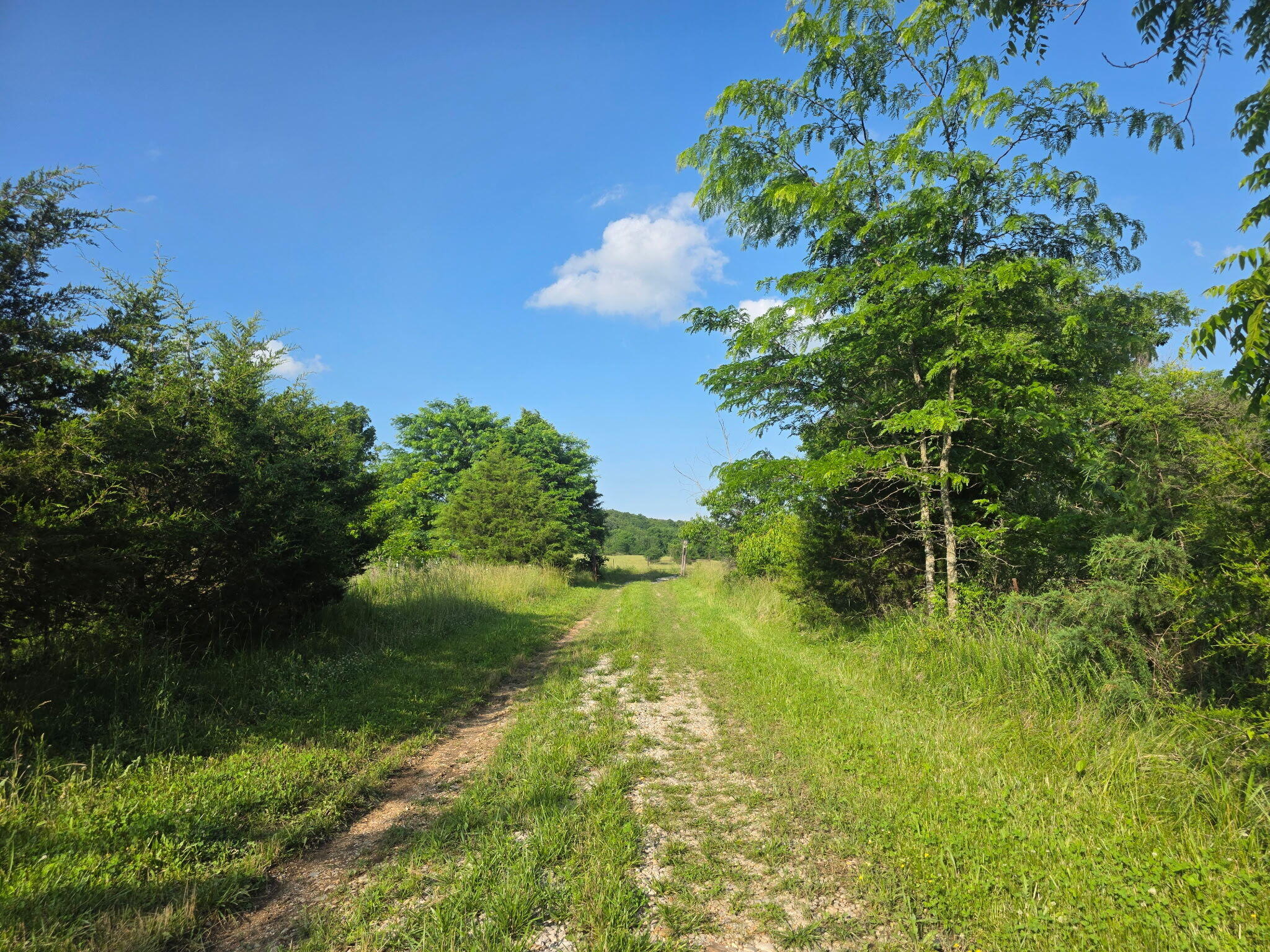 0000 State Highway Mm Property Photo 44