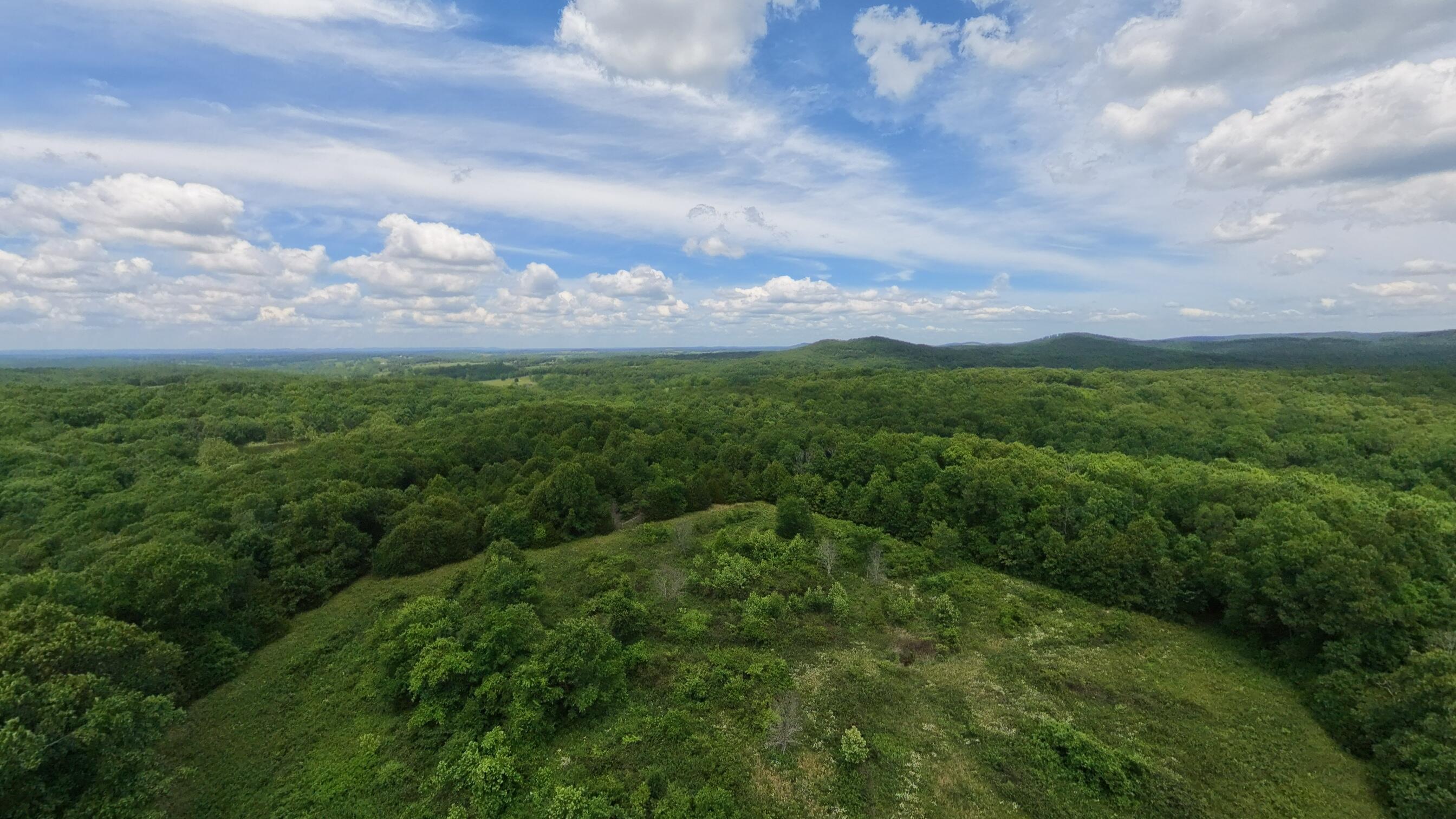 298 Eaton Run Property Photo 4
