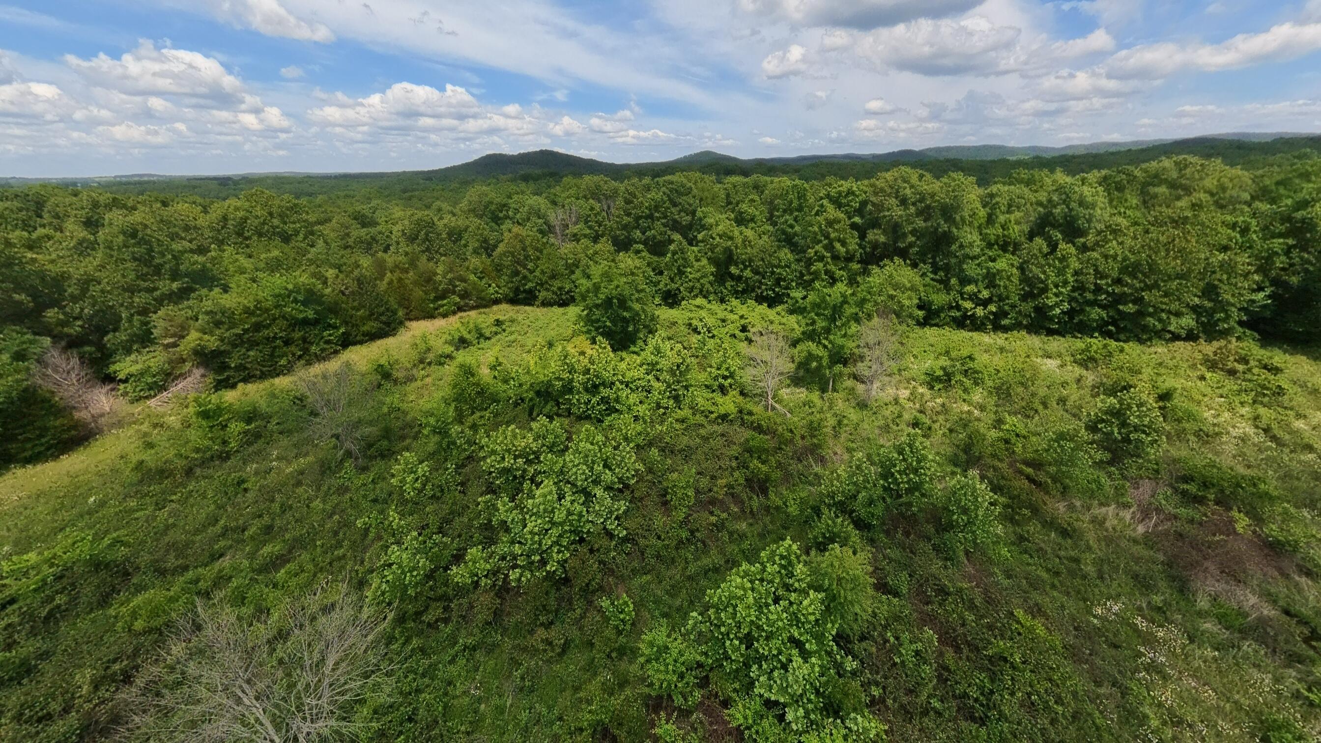 298 Eaton Run Property Photo 11
