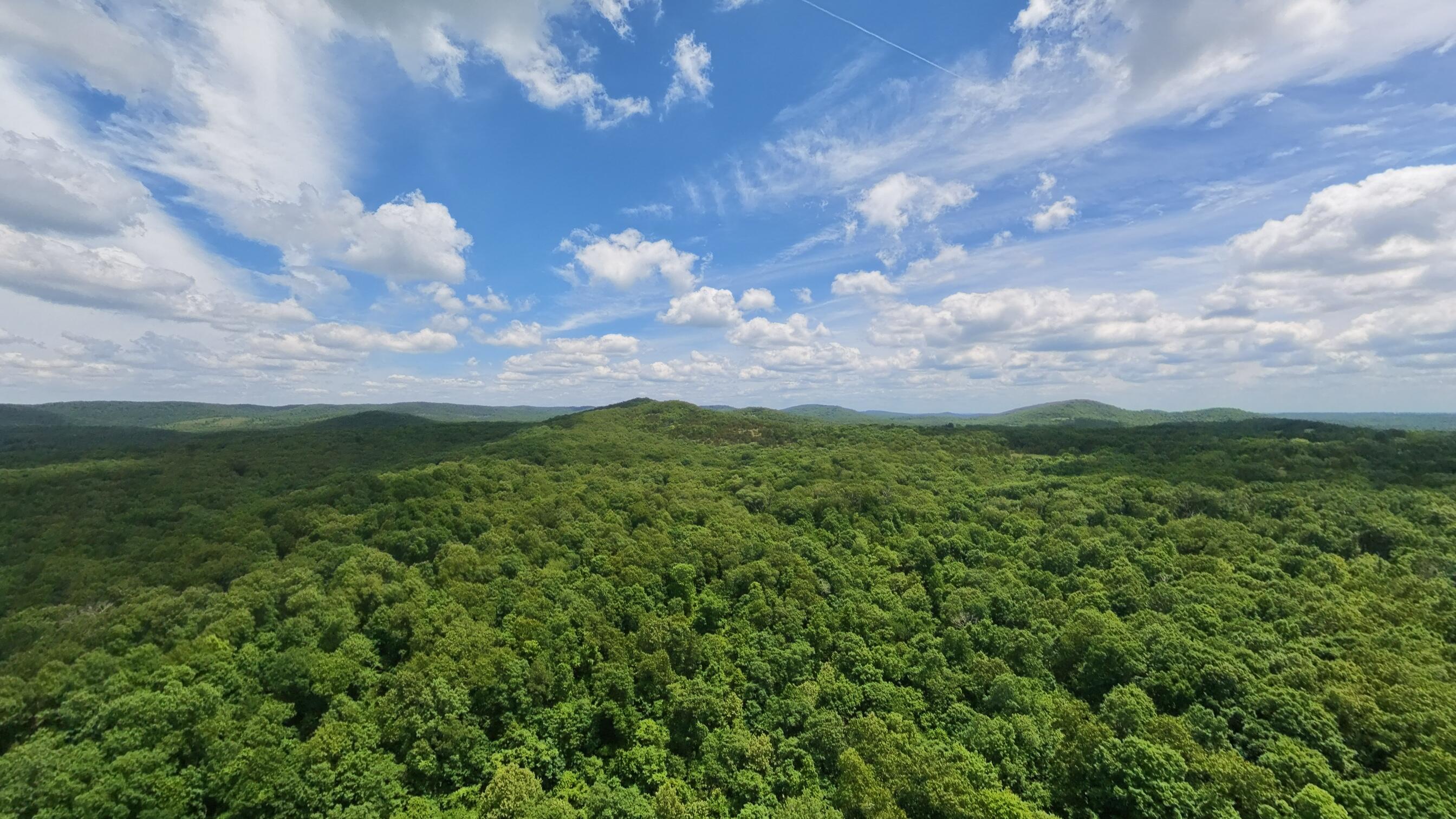 298 Eaton Run Property Photo 13