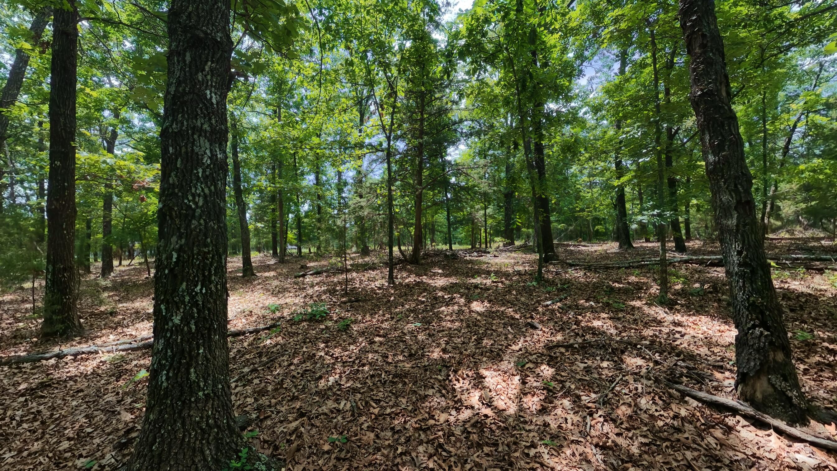 298 Eaton Run Property Photo 16