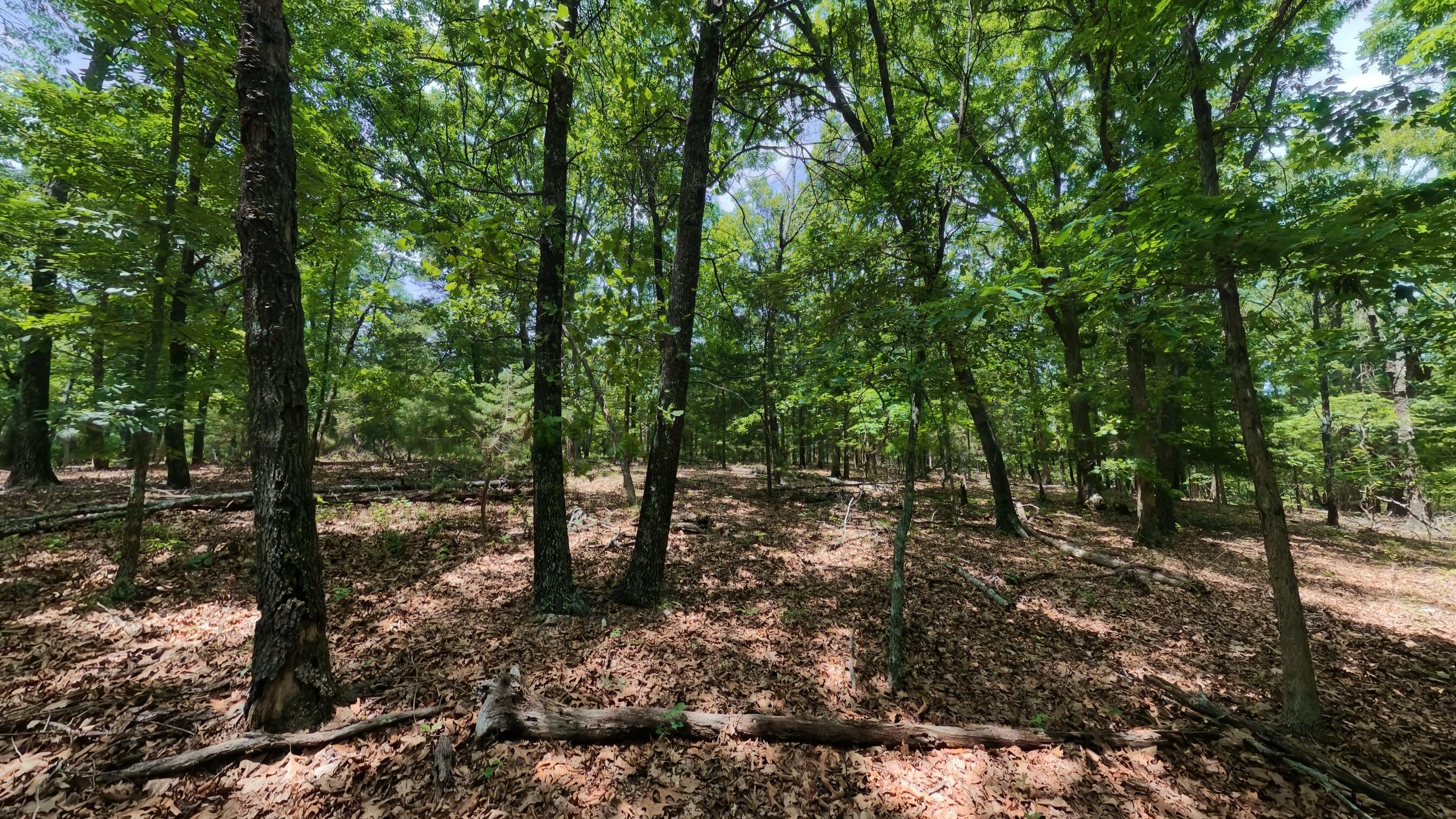 298 Eaton Run Property Photo 17