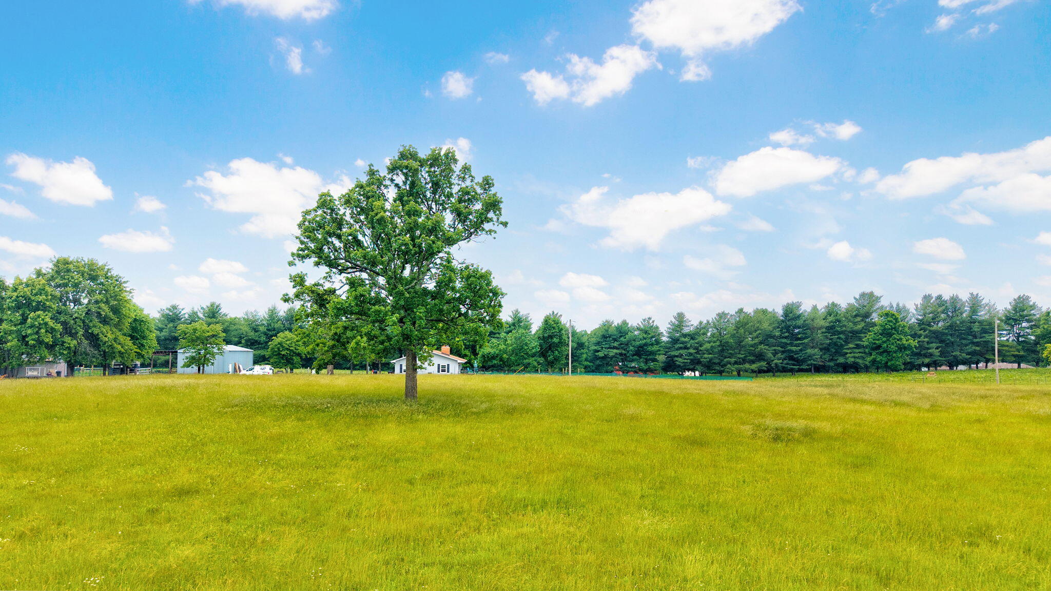 Tract 3 North State Highway 215 Property Photo 12