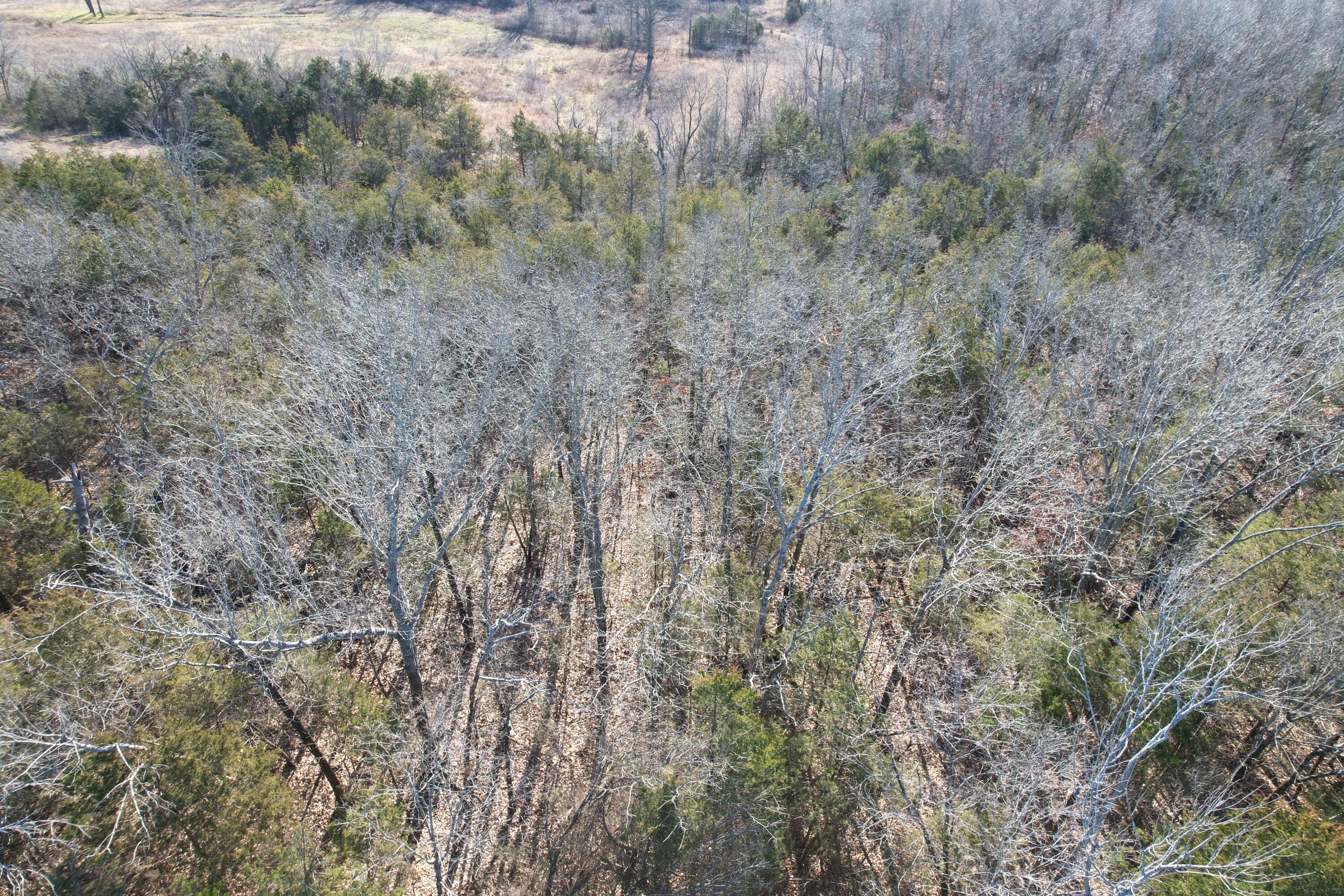 000 County Road 904 Property Photo 2