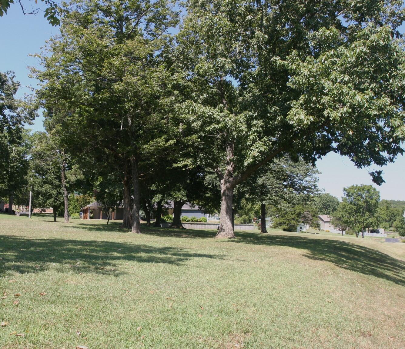 Lot 8 & 9 Twin Island Drive Property Photo 6