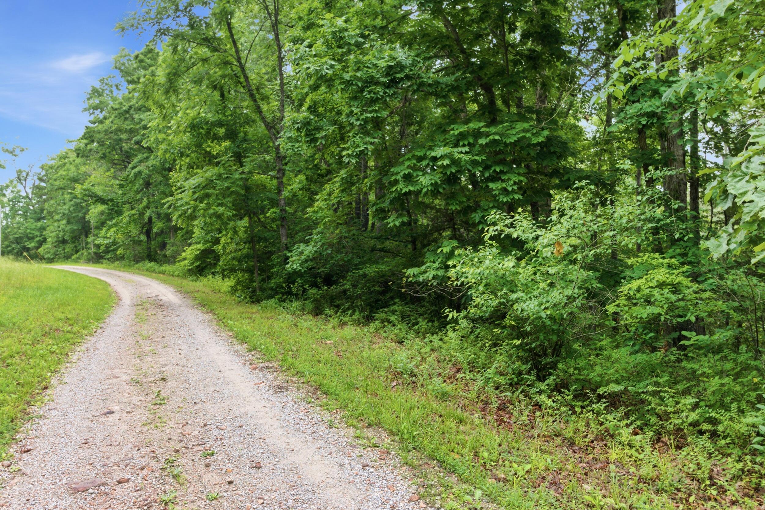 9723 Highway E Property Photo 41