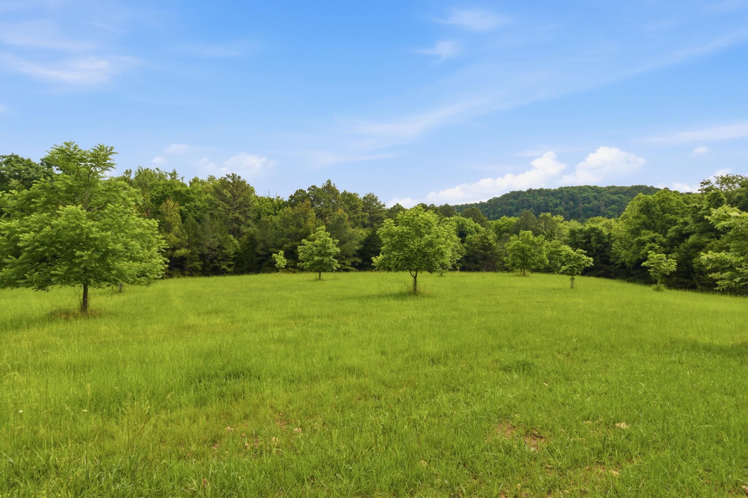 9723 Highway E Property Photo 50