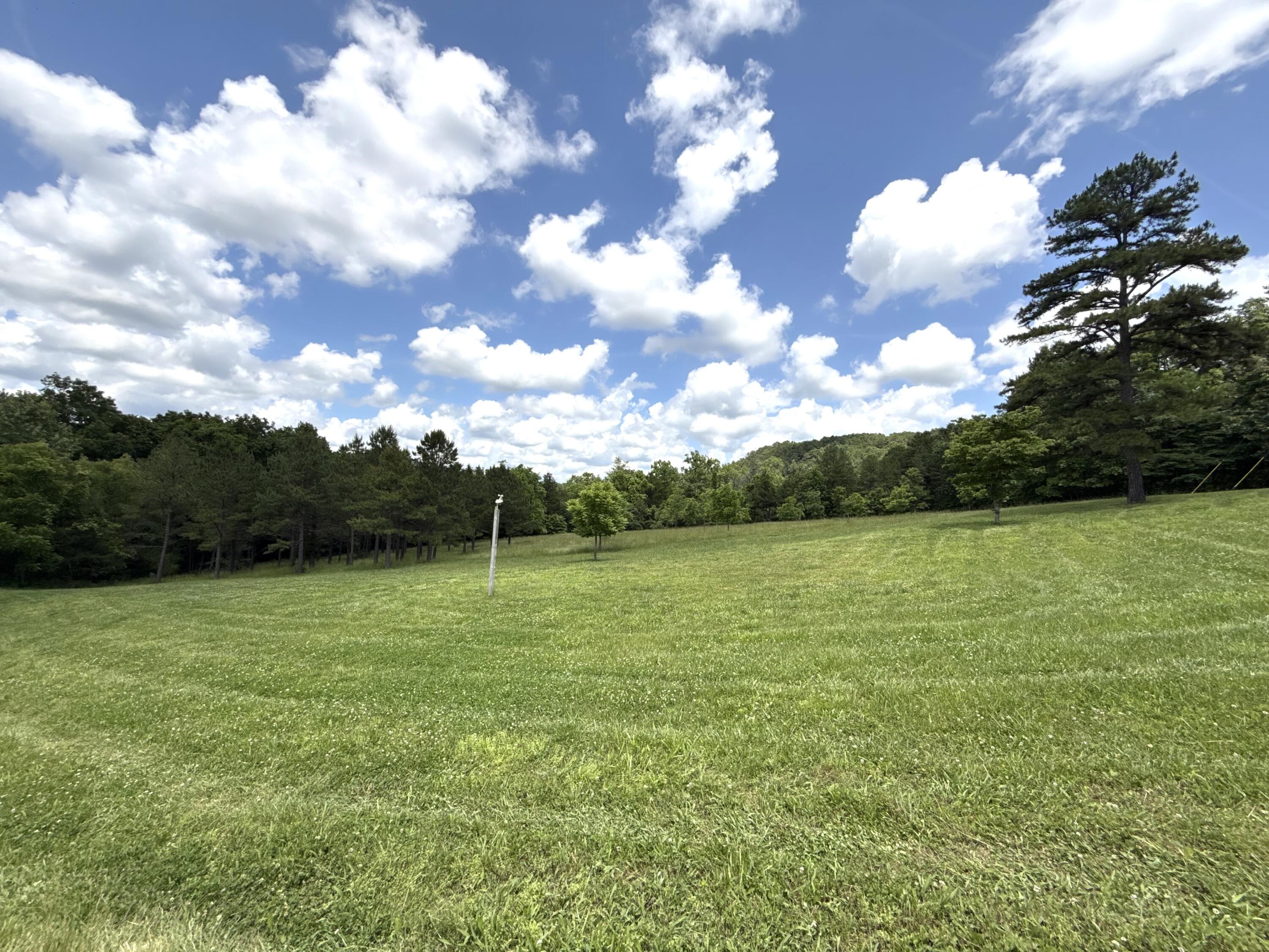 9723 Highway E Property Photo 75
