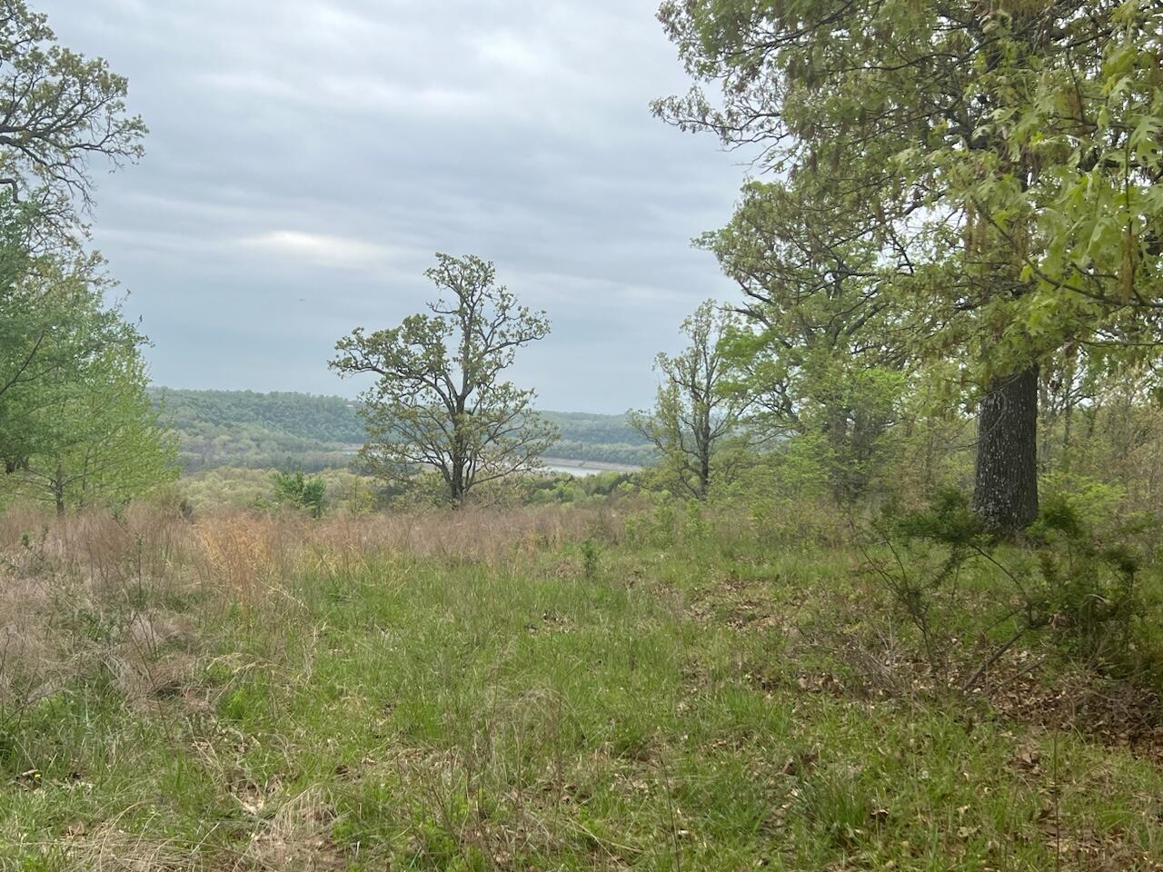 000 State Highway D Property Photo 4
