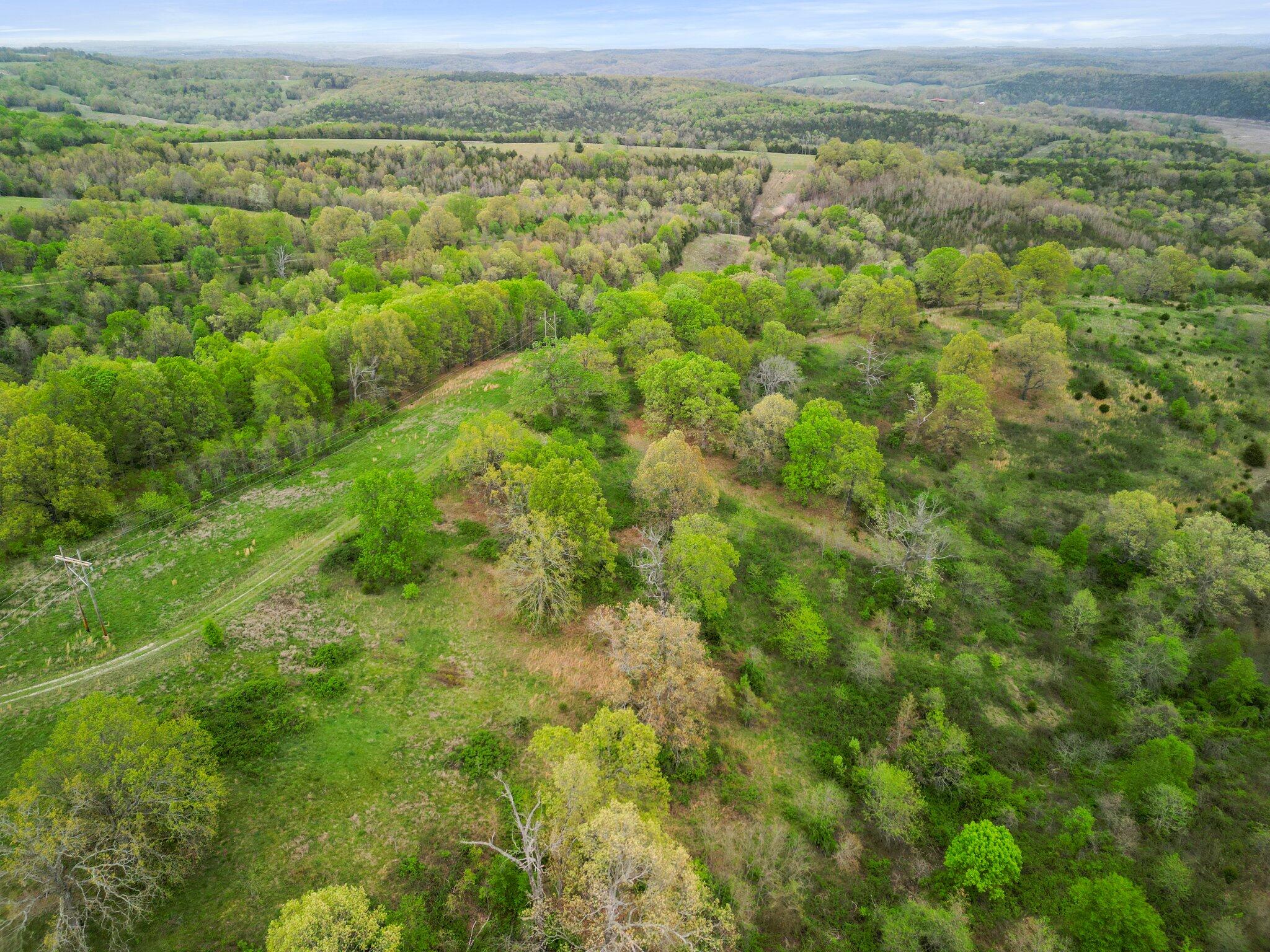 000 State Highway D Property Photo 6