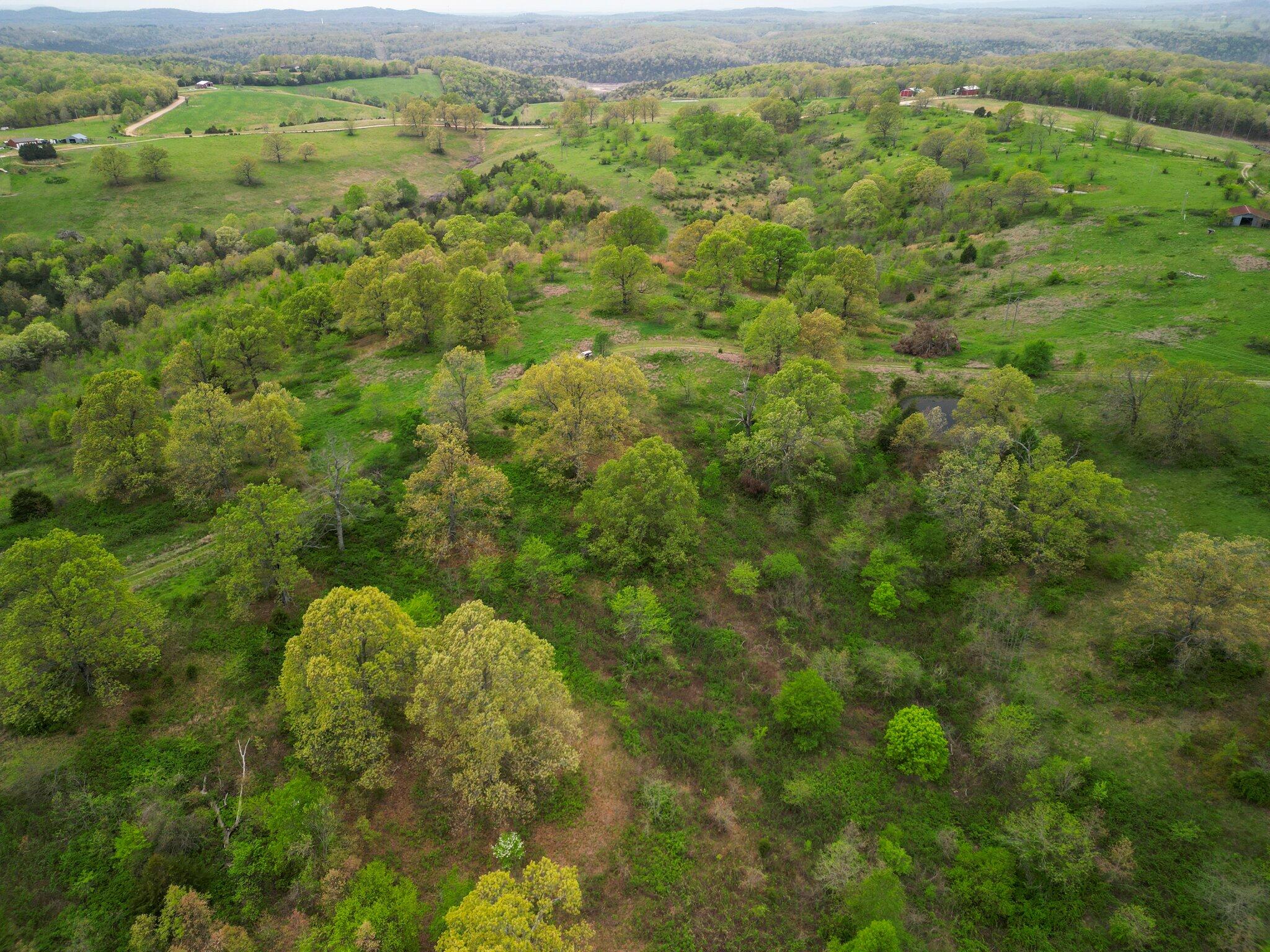 000 State Highway D Property Photo 9