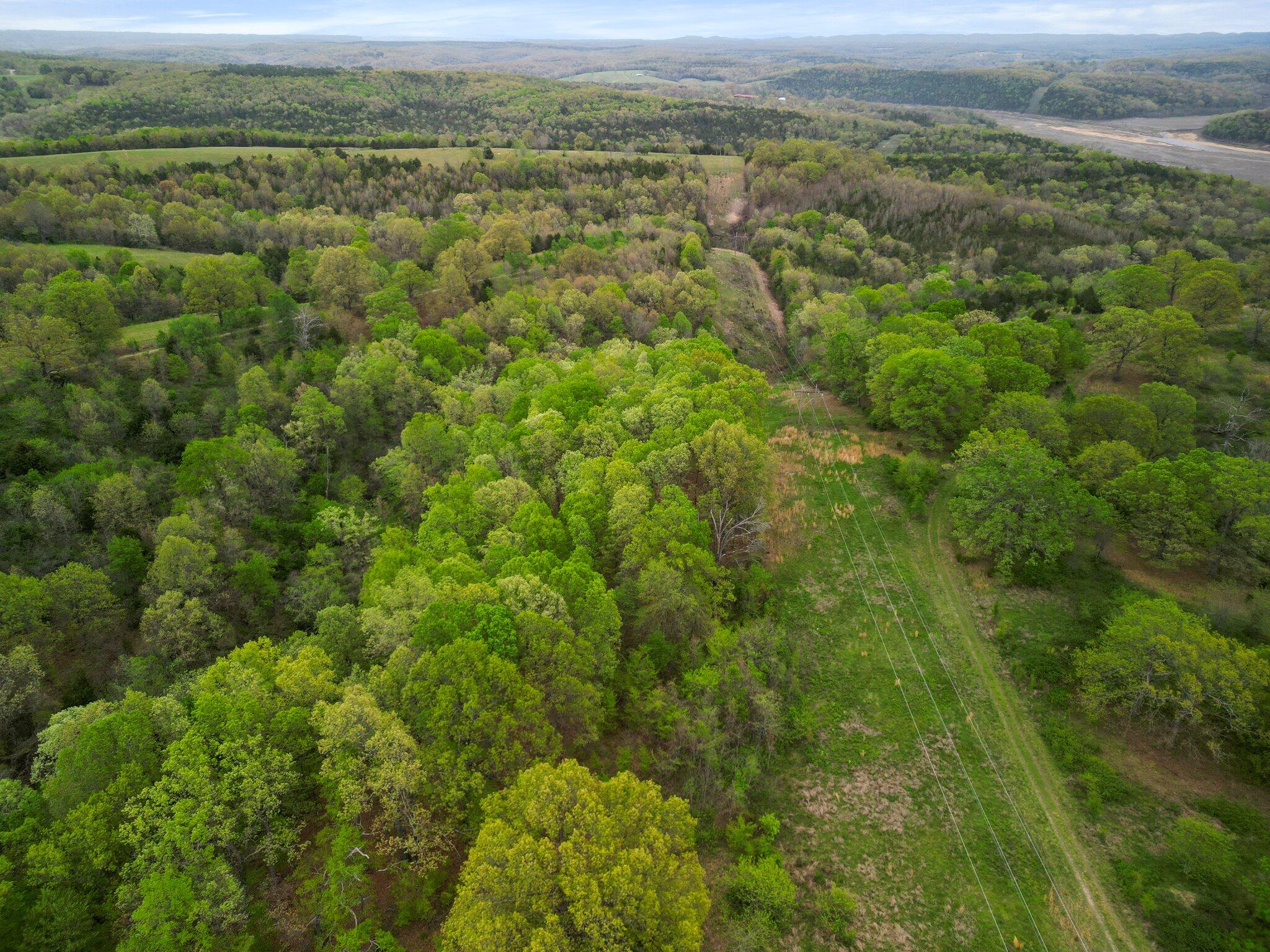 000 State Highway D Property Photo 11