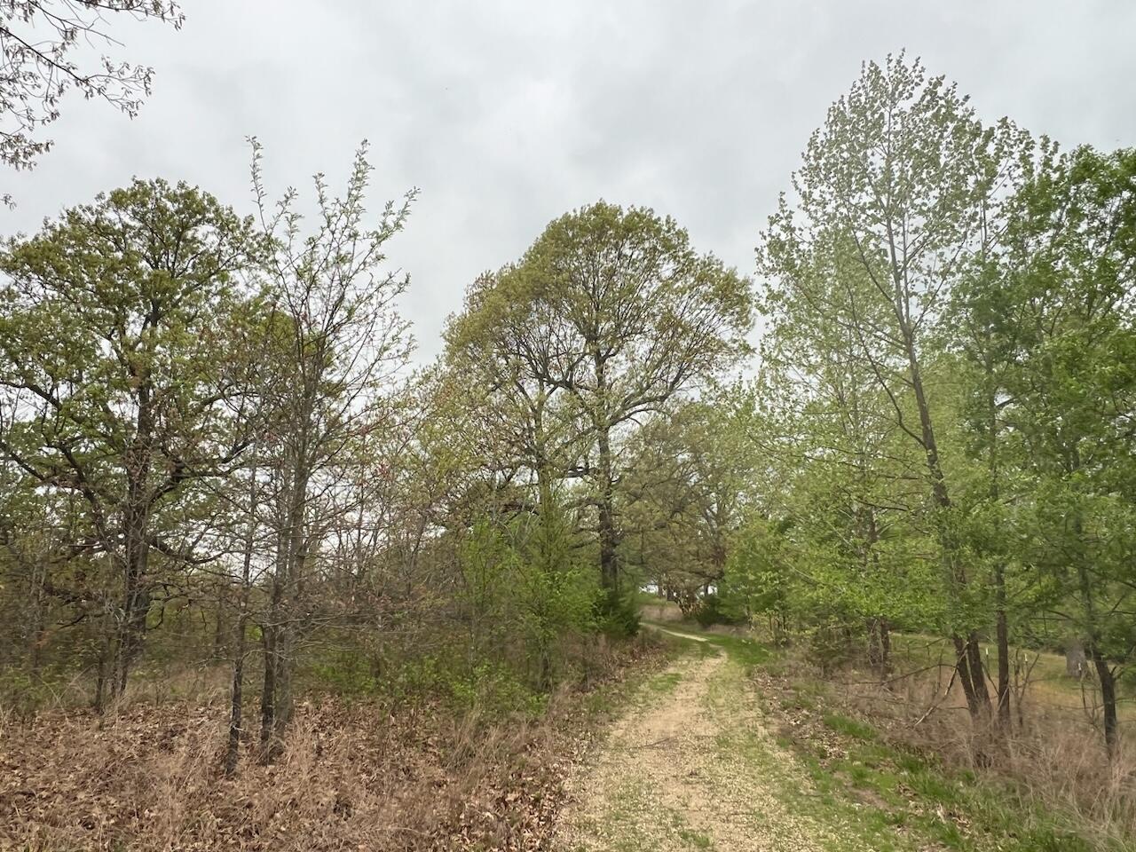 000 State Highway D Property Photo 20