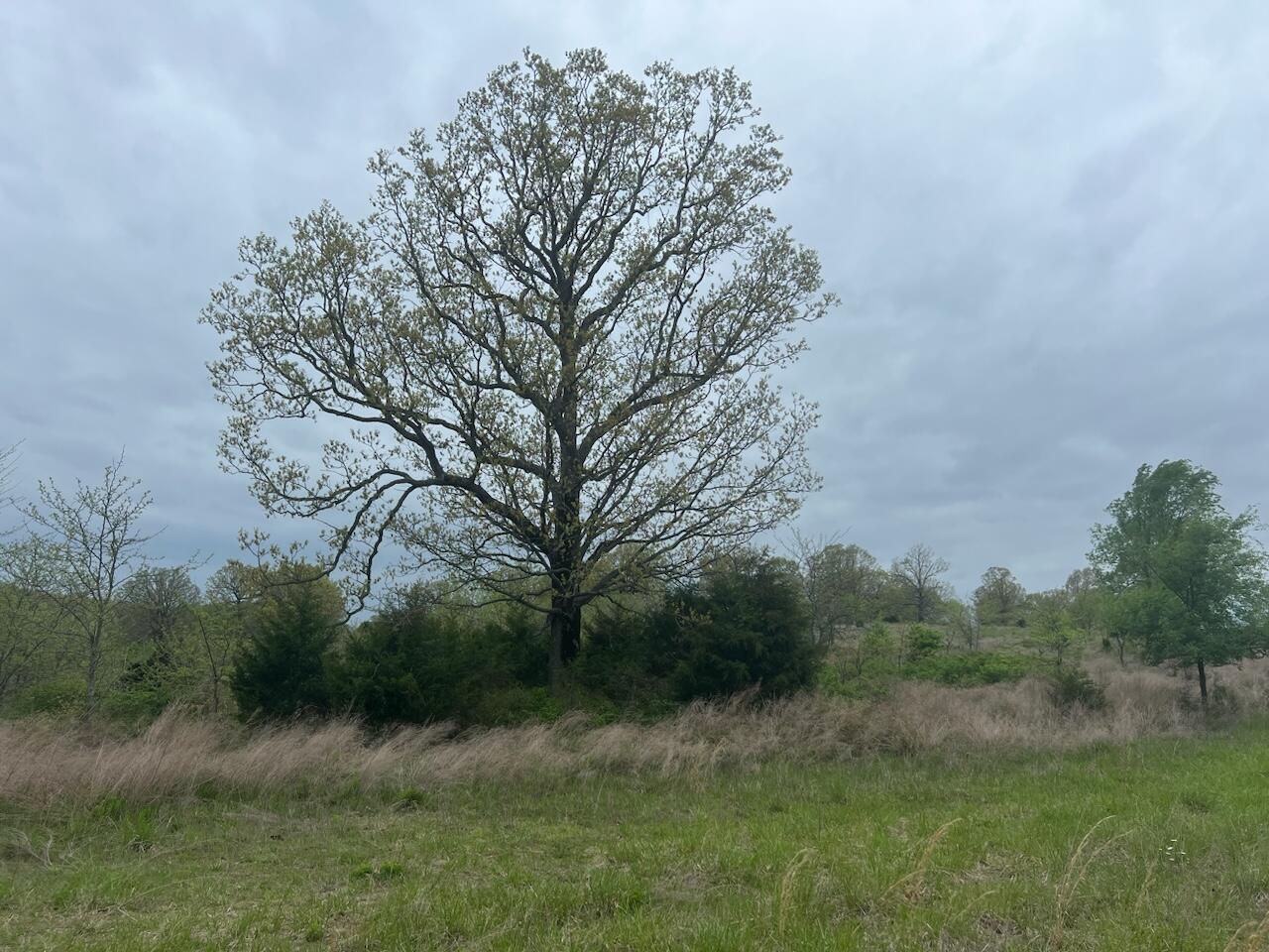 000 State Highway D Property Photo 21