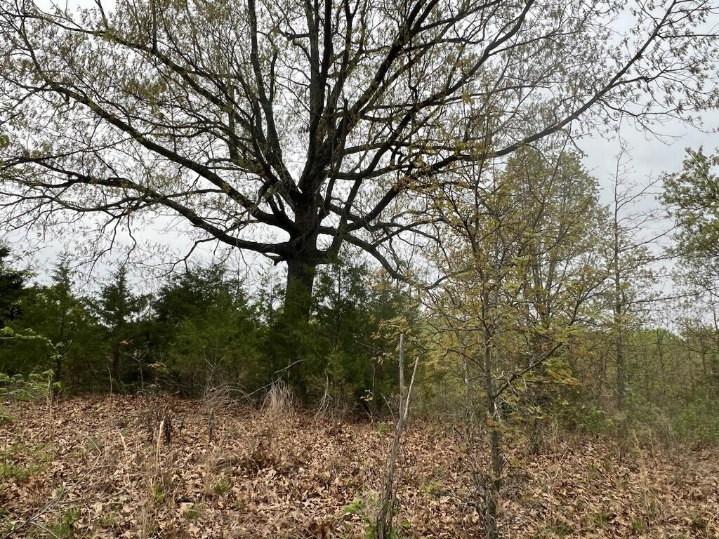 000 State Highway D Property Photo 22