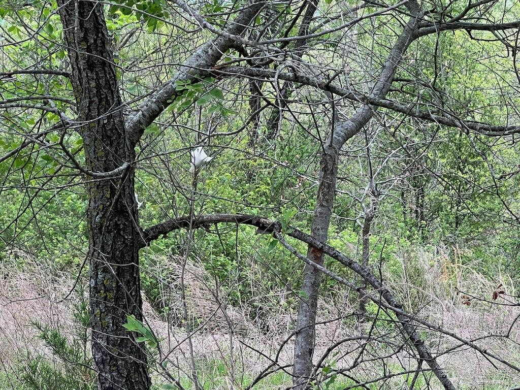 000 State Highway D Property Photo 23