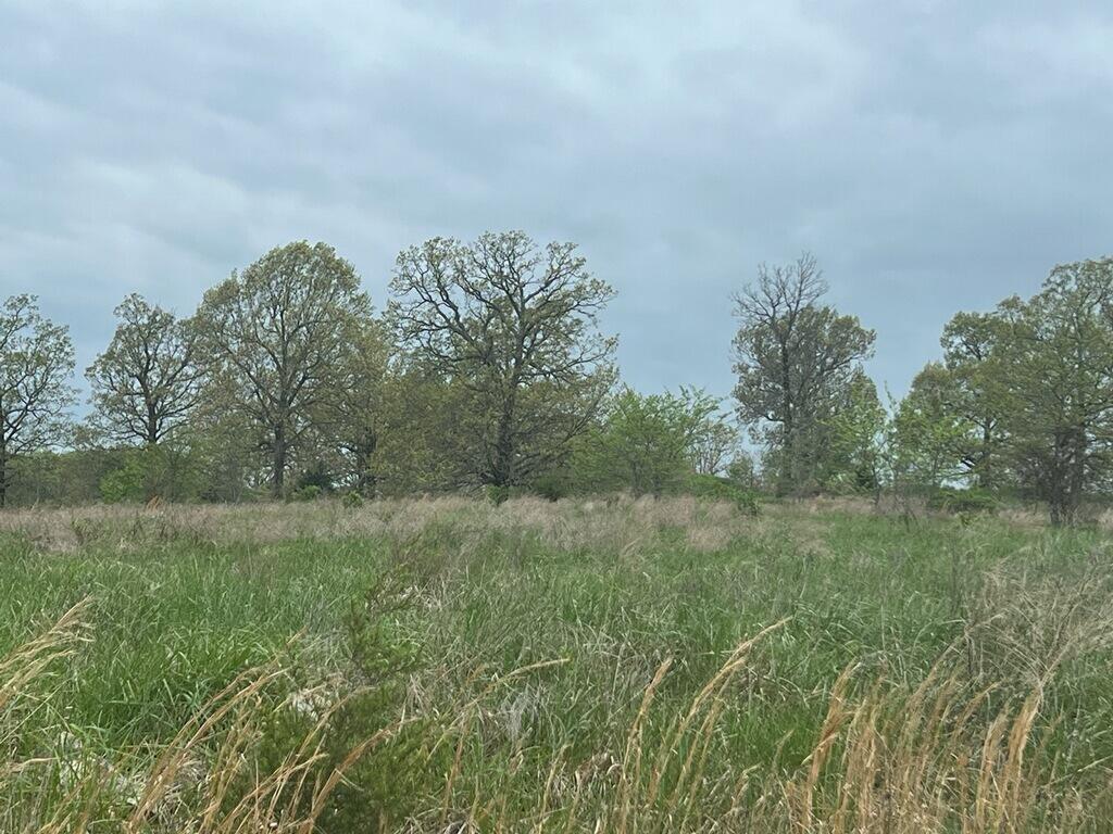 000 State Highway D Property Photo 25