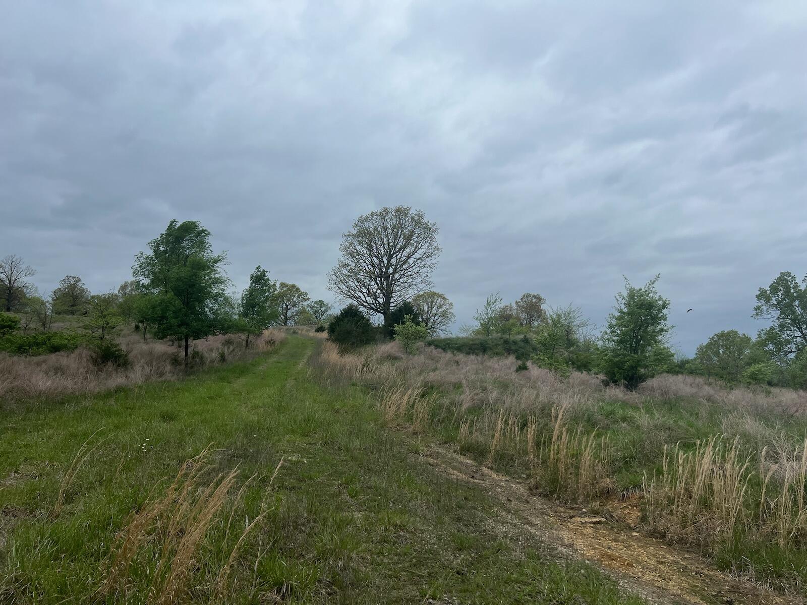 000 State Highway D Property Photo 26